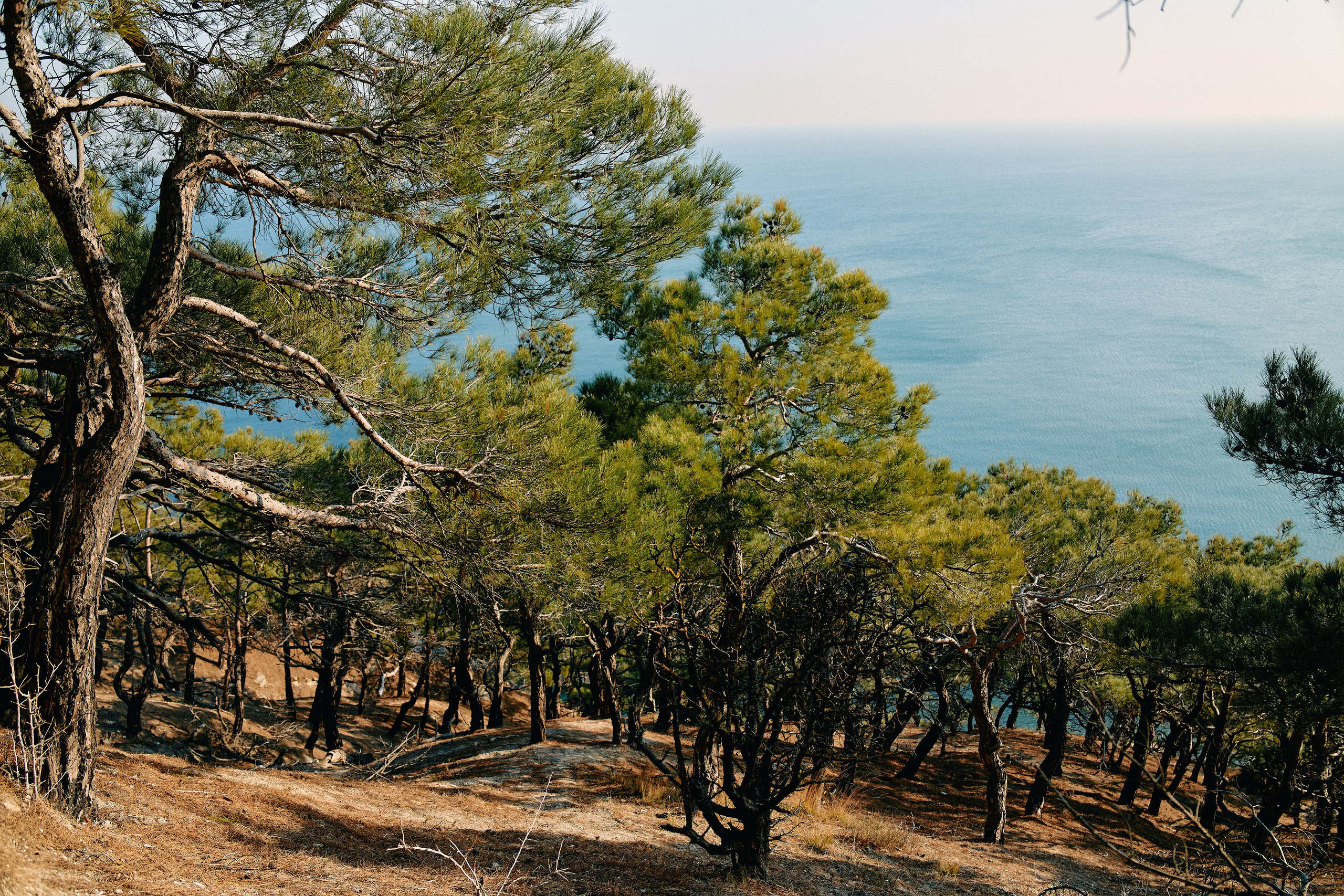 Юг России. Профессиональный Фотограф во Владимире, в Москве и в Суздале — Полина Романычева