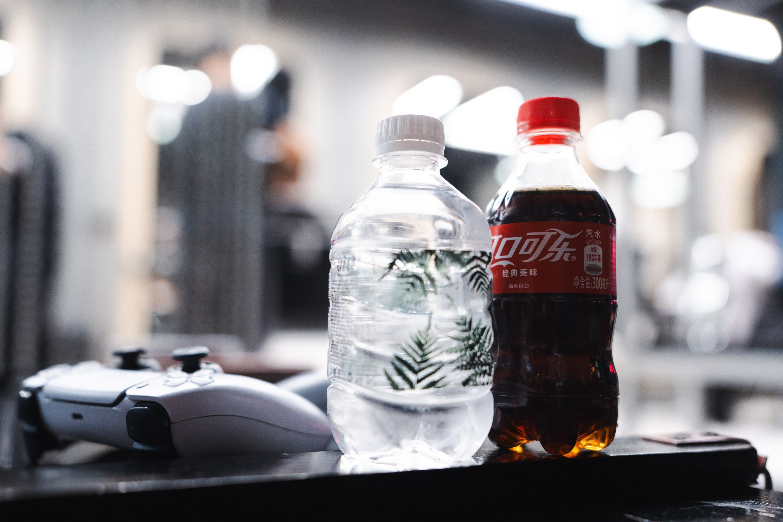 Nordmen. Фотограф Хабаровск