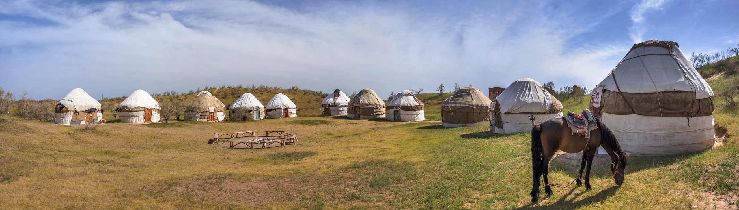 Пустыня Кызылкум. Фотограф Лара Кучина