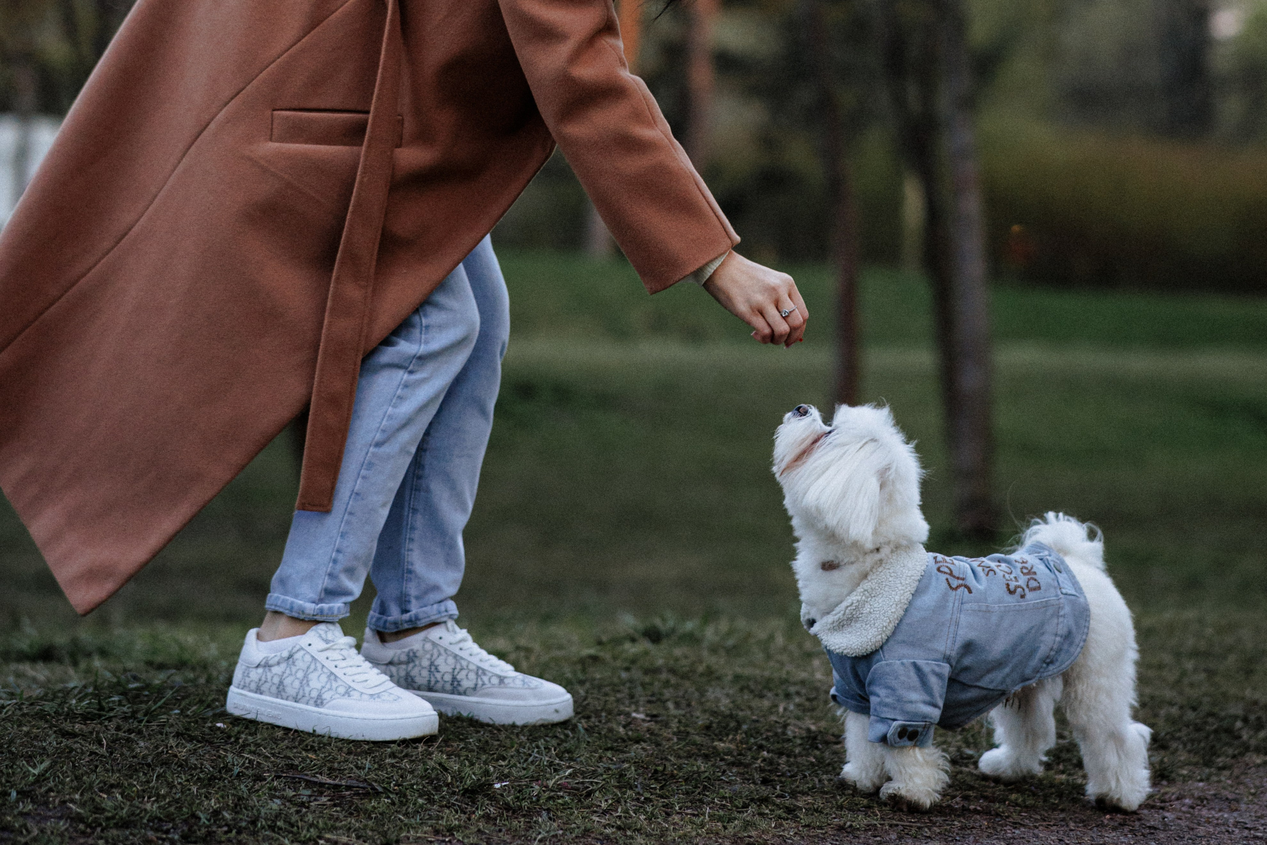 Алёна и Мирон. Фотограф в Санкт-Петербурге Алёна Губинская