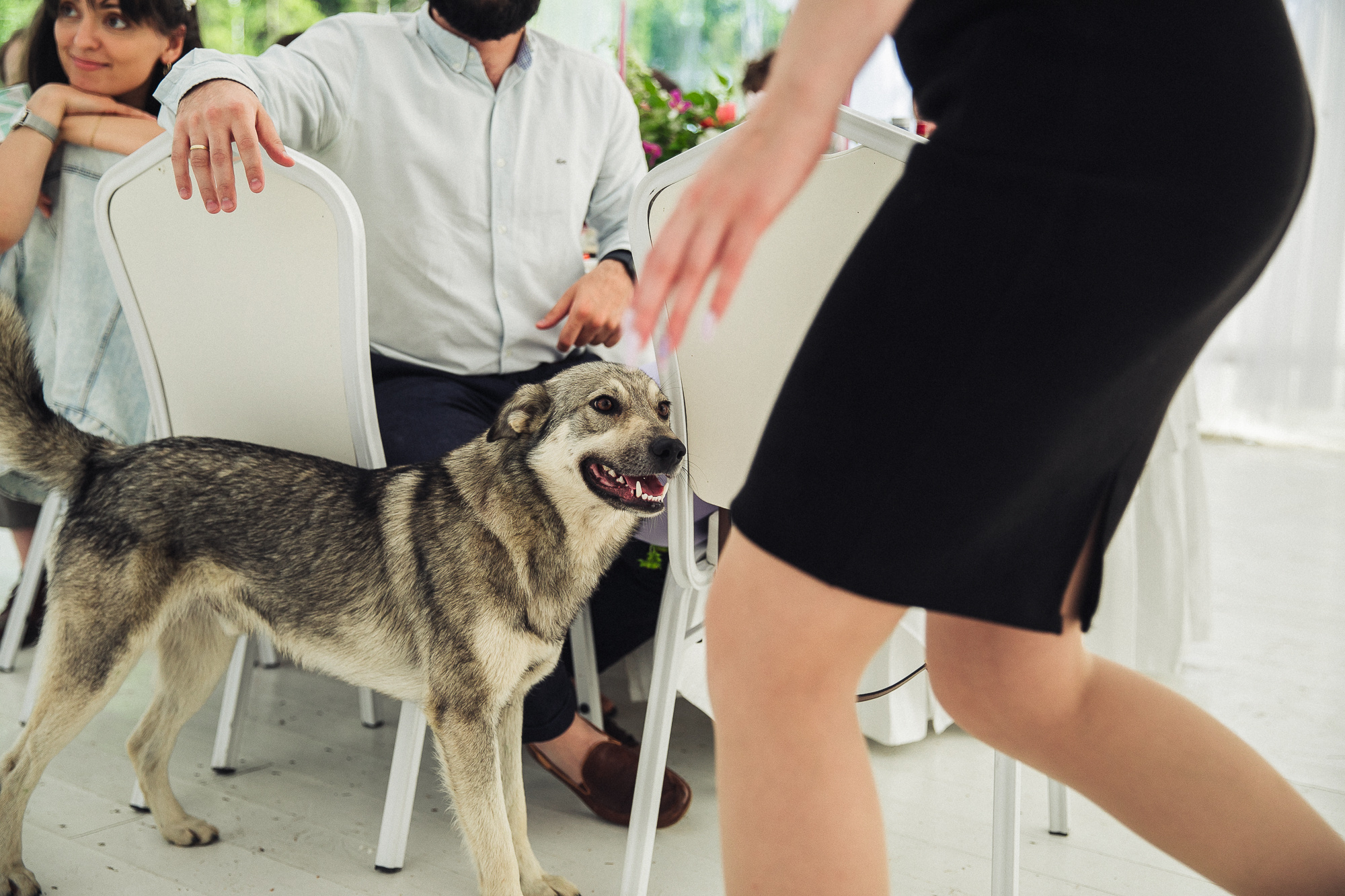 Ирина & Руслан. Свадебный и семейный фотограф в Москве и Лобне Евгений Пушкин