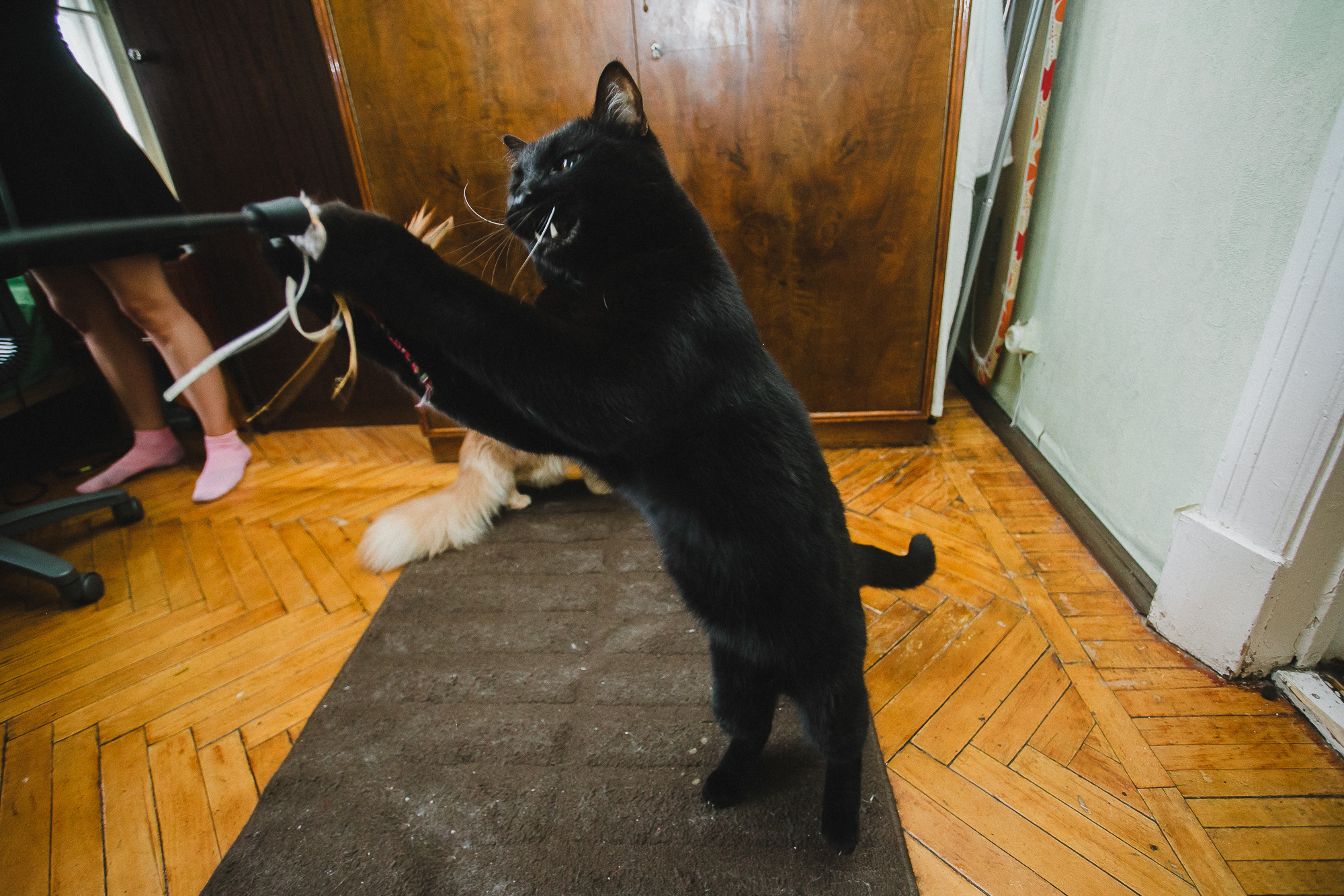 Василина & Лев. Свадебный и семейный фотограф в Москве и Лобне Евгений Пушкин