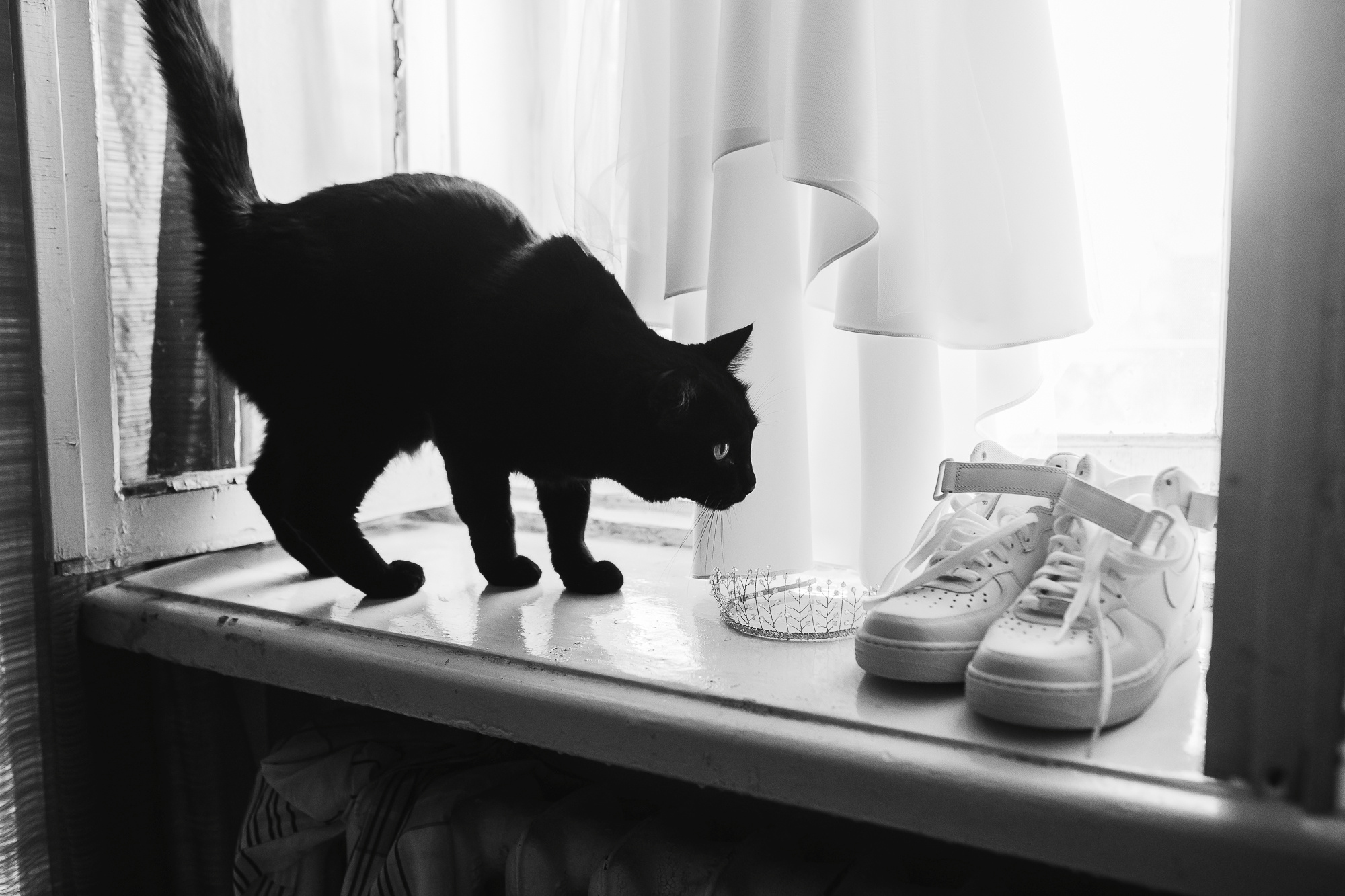 Василина & Лев 07.07.18 