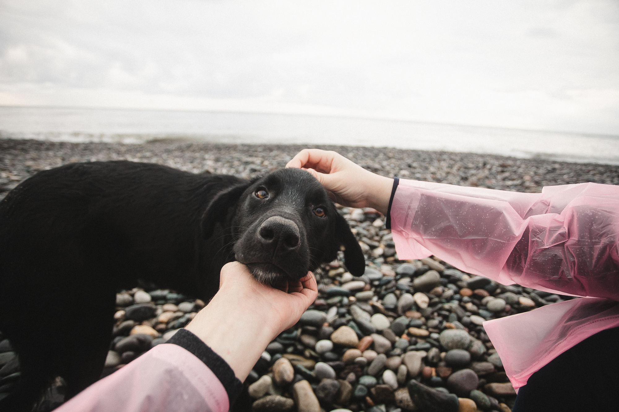 Selfie love story. Свадебный и семейный фотограф в Москве и Лобне Евгений Пушкин