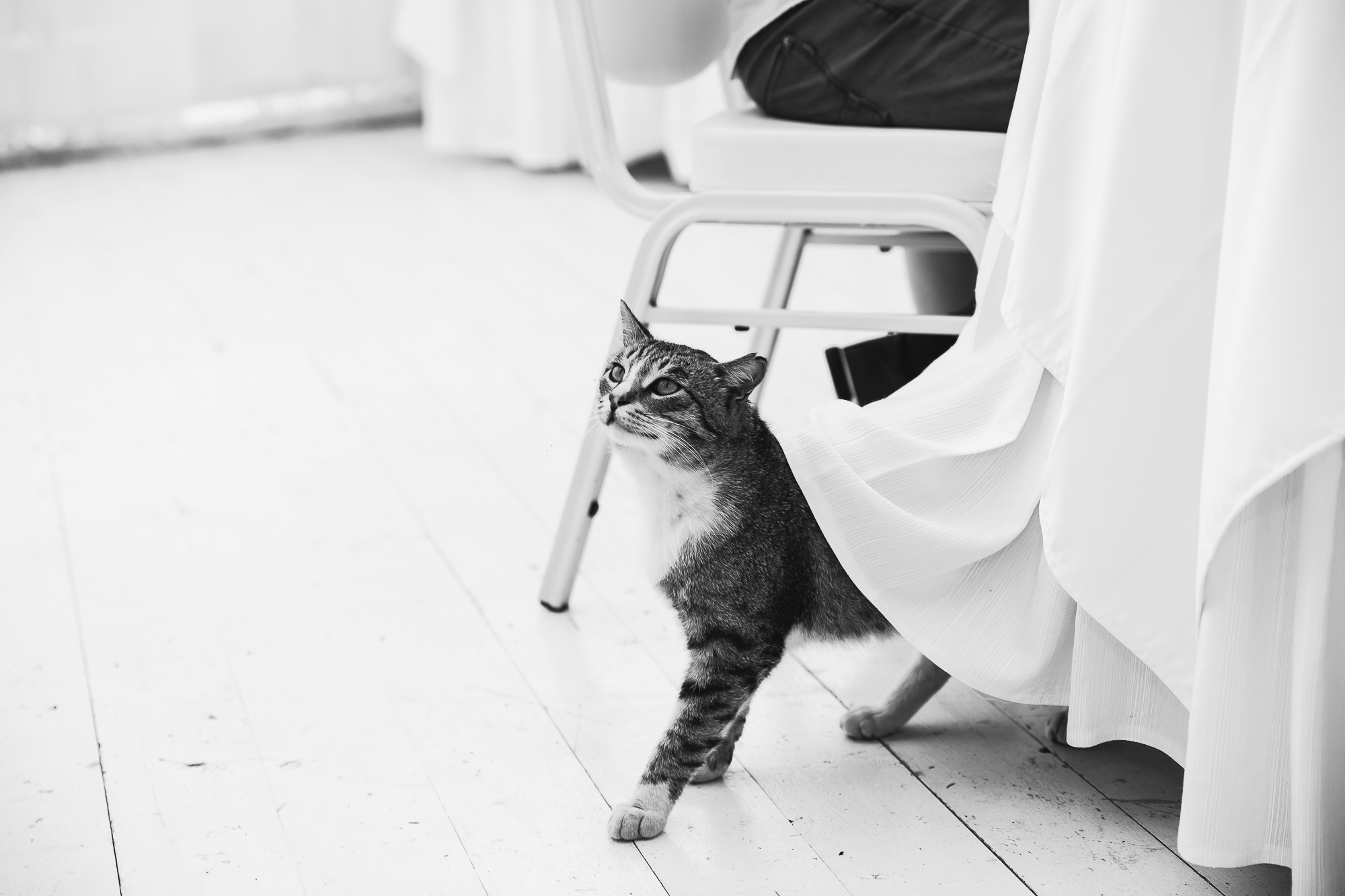 Ирина & Руслан. Свадебный и семейный фотограф в Москве и Лобне Евгений Пушкин