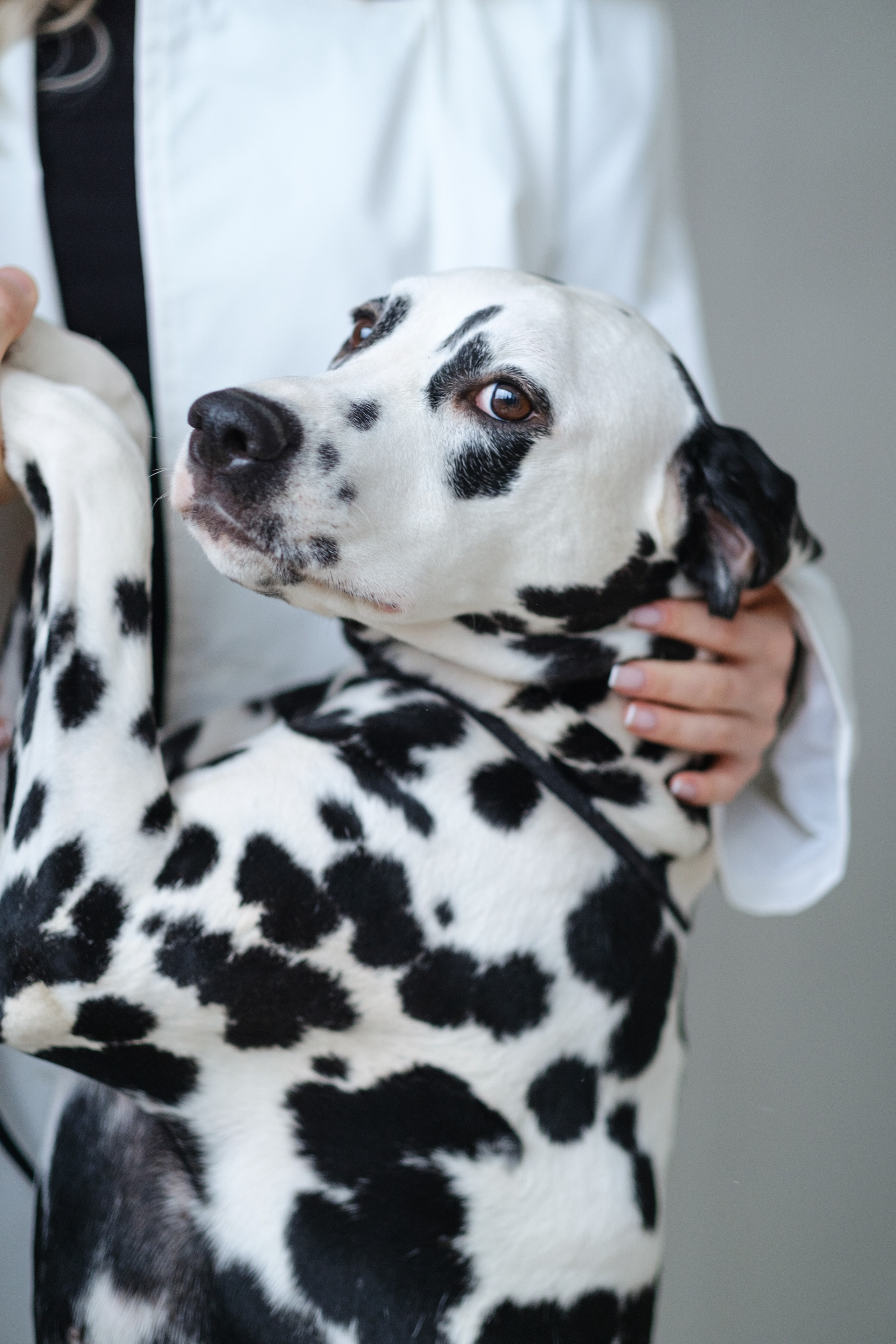 Александра и Роман. Фотограф в Москве и Санкт-Петербурге