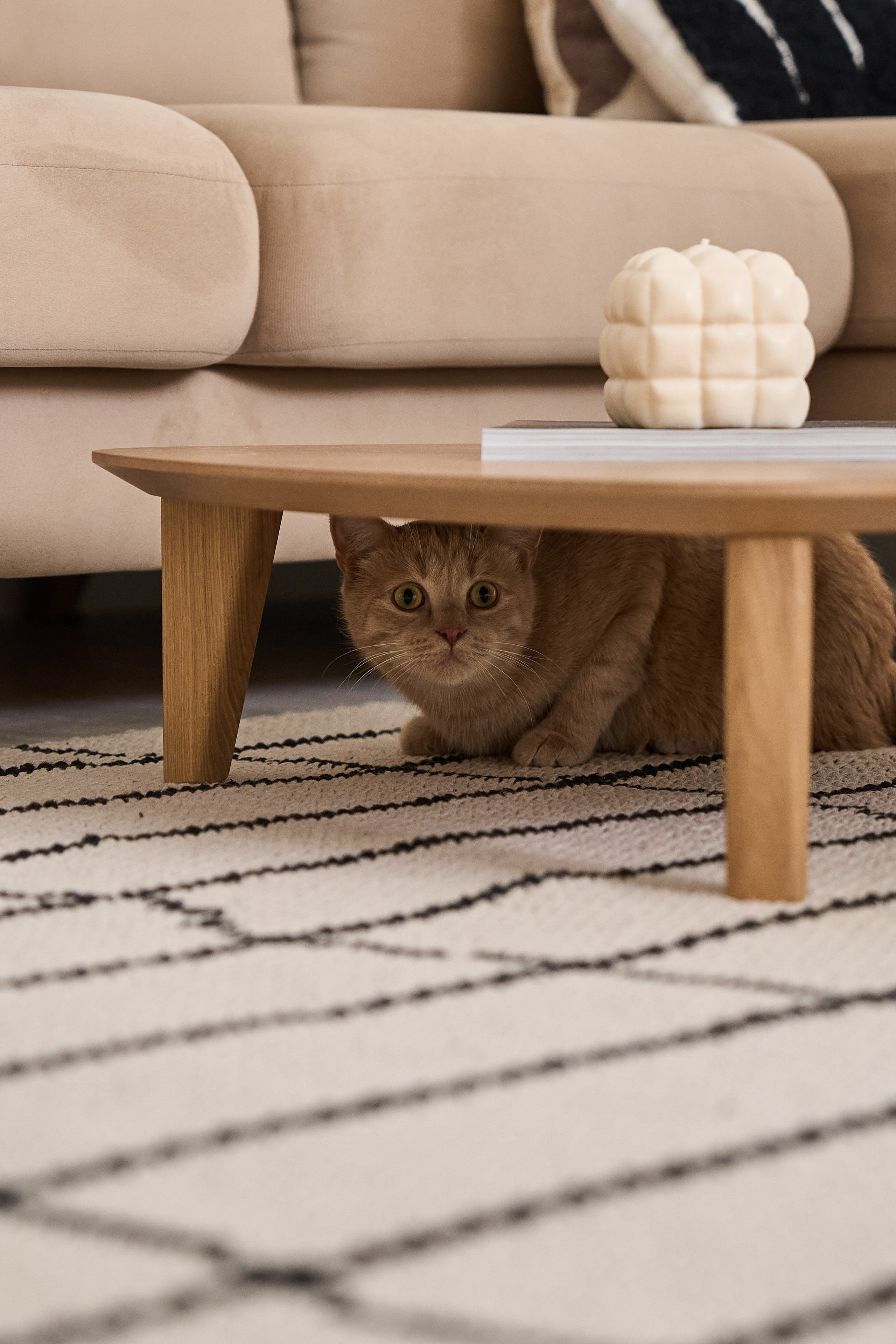 Уютная квартира в старом Московском доме. (публикация My decor). Бояршинов Антон Интерьерный фотограф/видеограф Москва