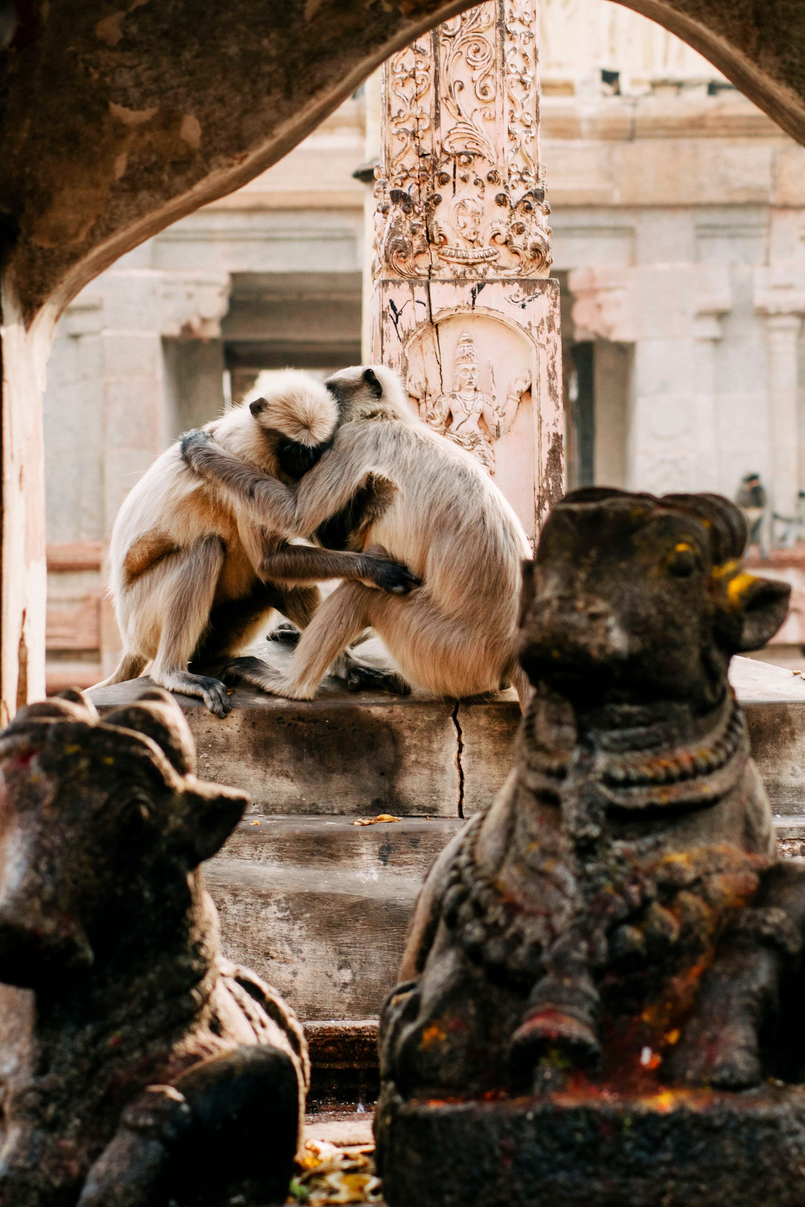 Hampi street. Iraogo