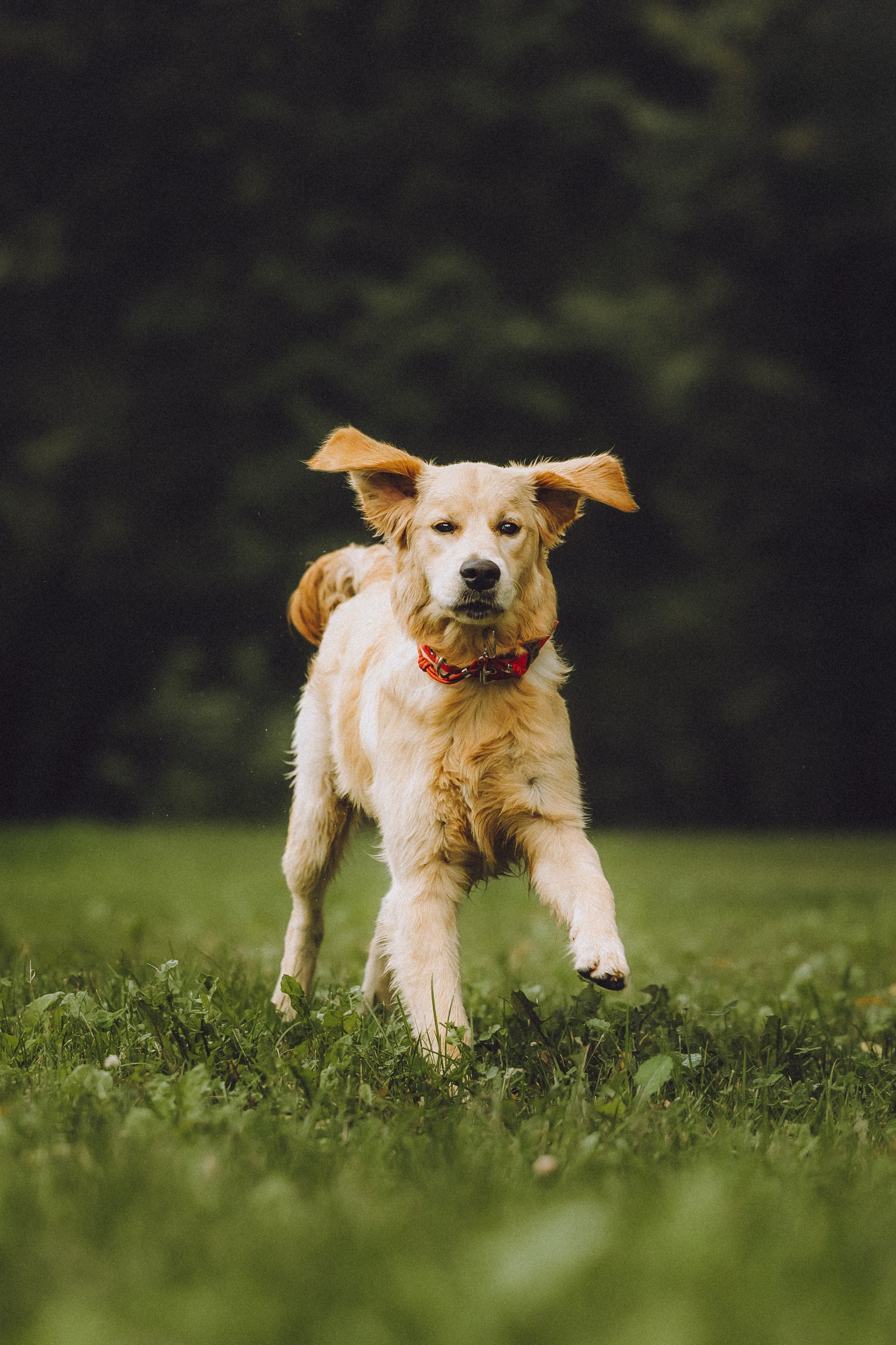 Алена и Лея