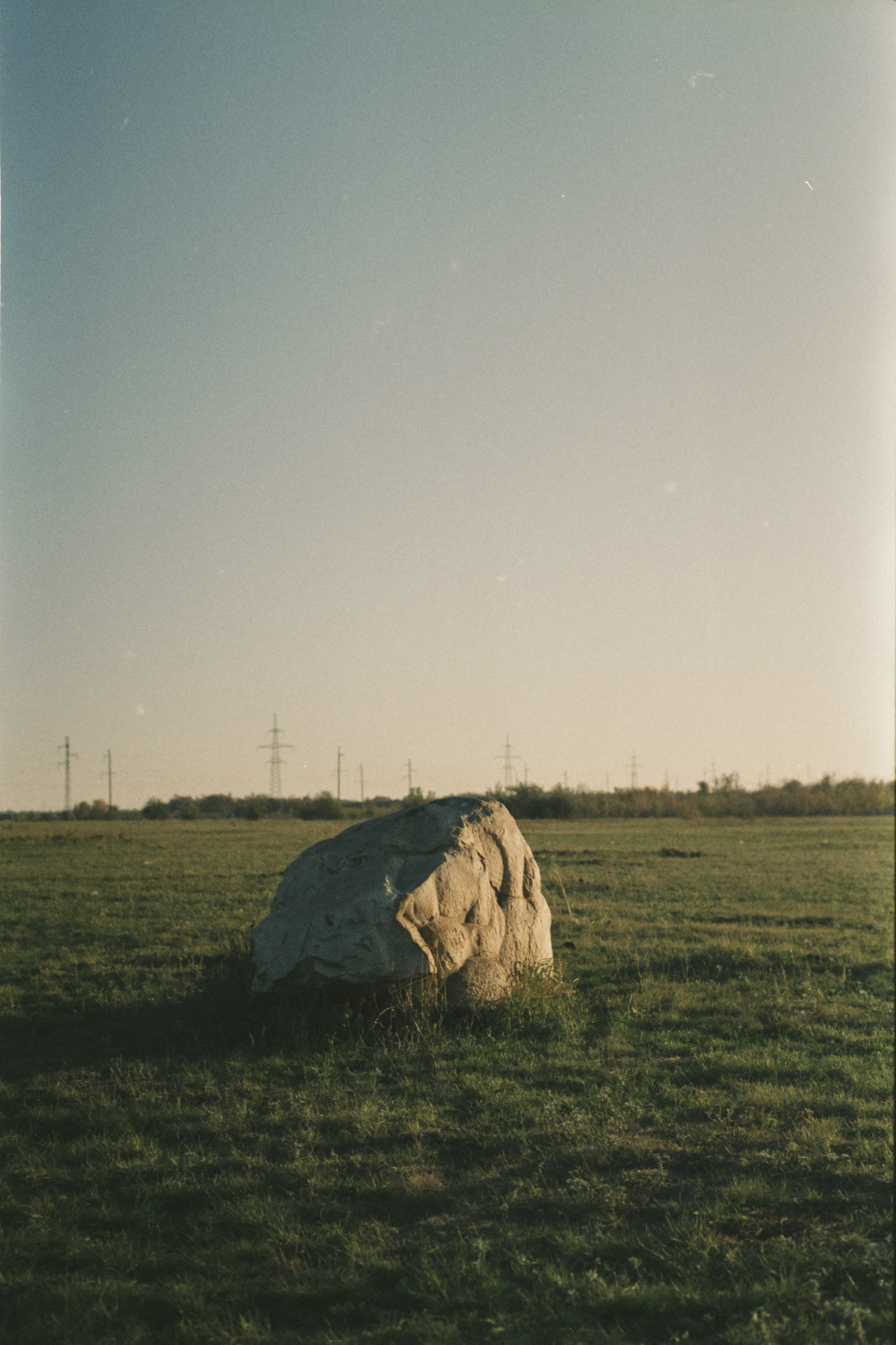 Пленочная история. Дмитрий Пропадалин, Нейрофотография