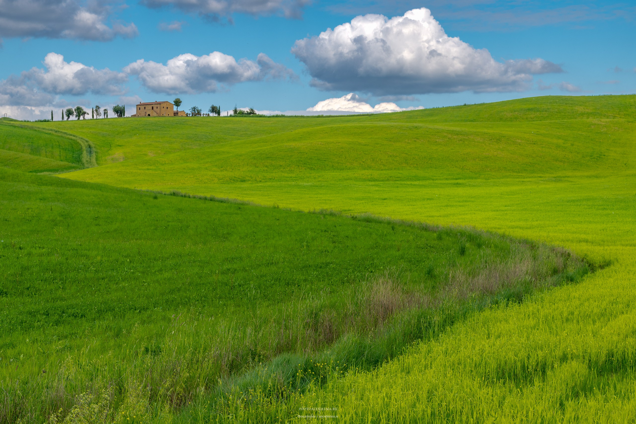 Великолепная Тоскана. Авторские стильные фотокартины