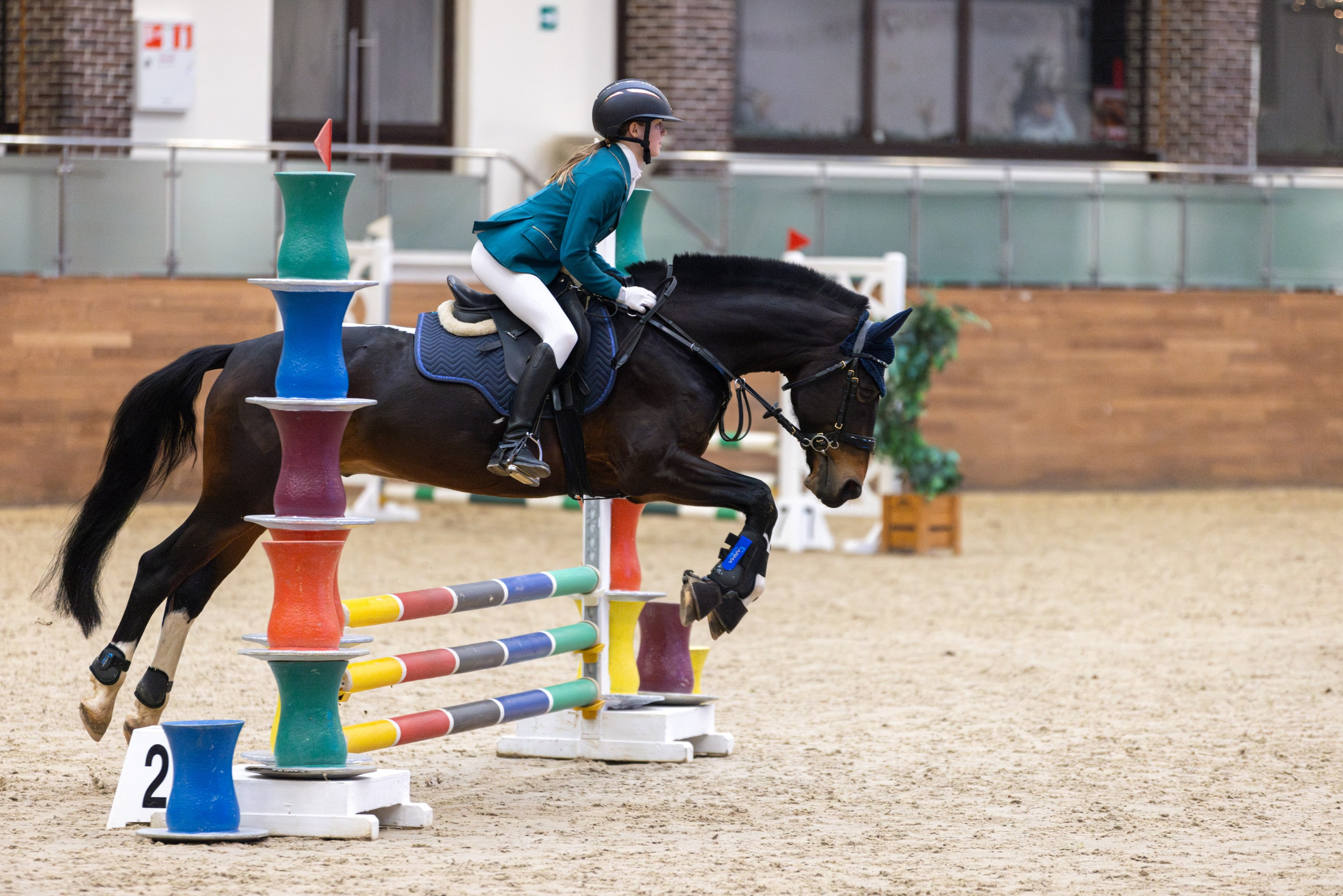 Репортажная съёмка спортивных мероприятий. ESHE_PHOTO Фотограф анималист в Москве и Московской области