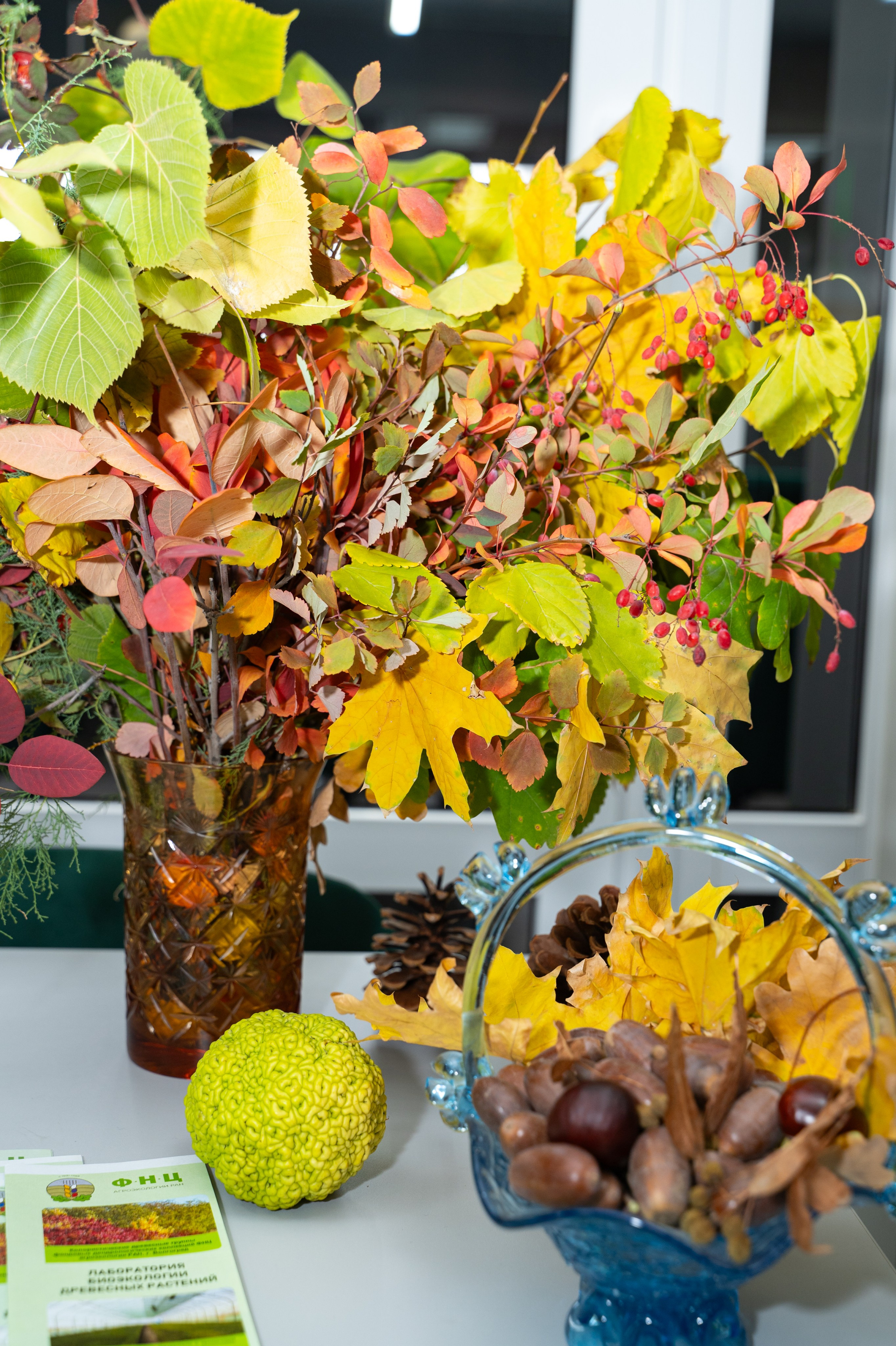 Международная конференция РАН