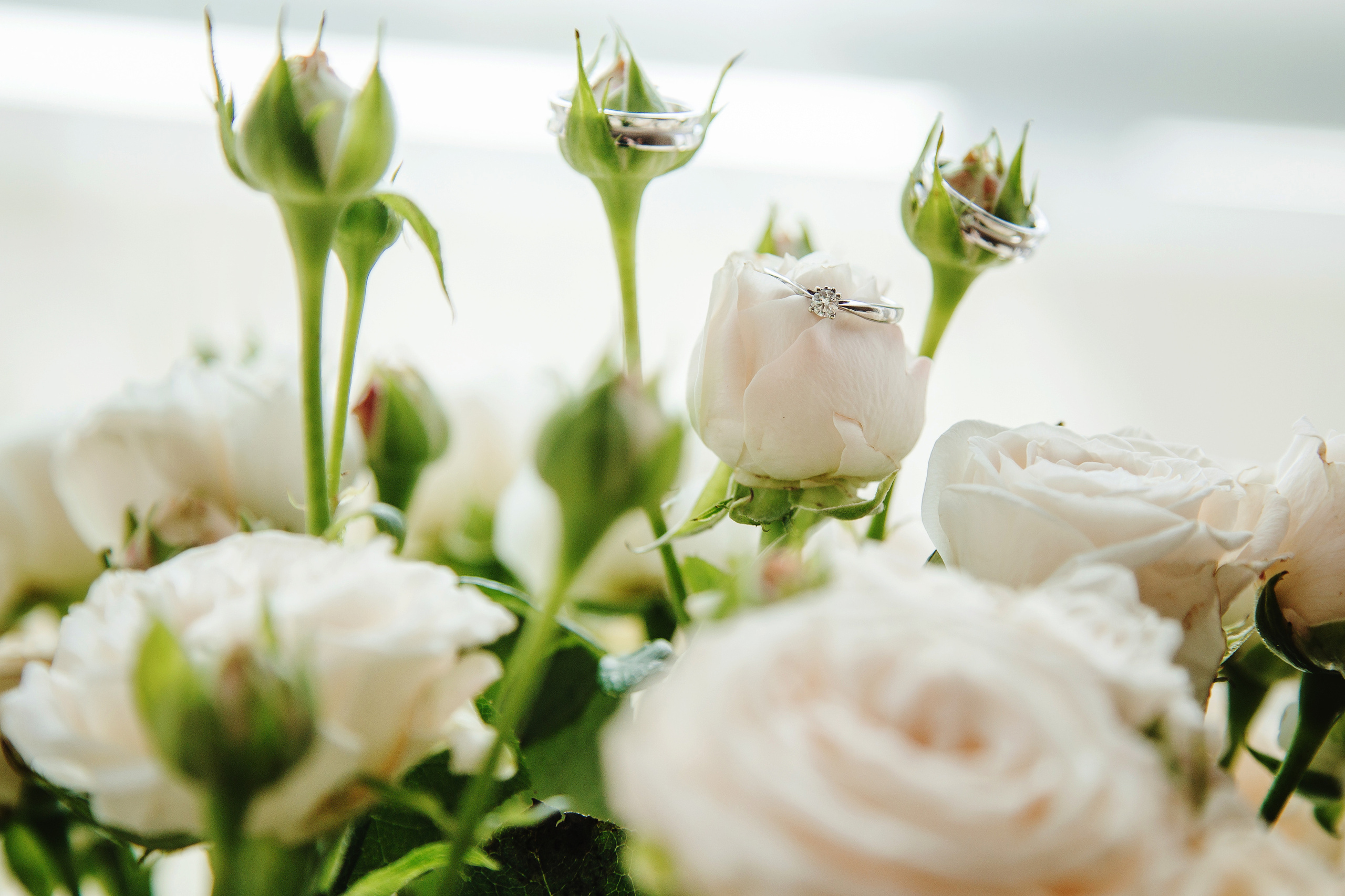 Дмитрий и Яна. Свадебный Семейный Репортажный фотограф в Москве