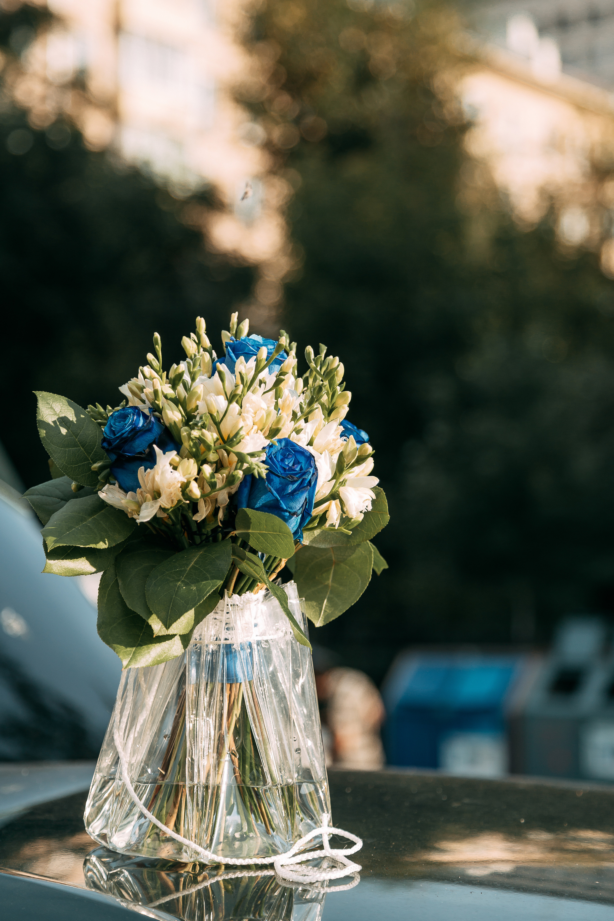 В ботаническом саду. Свадебный Семейный Репортажный фотограф в Москве