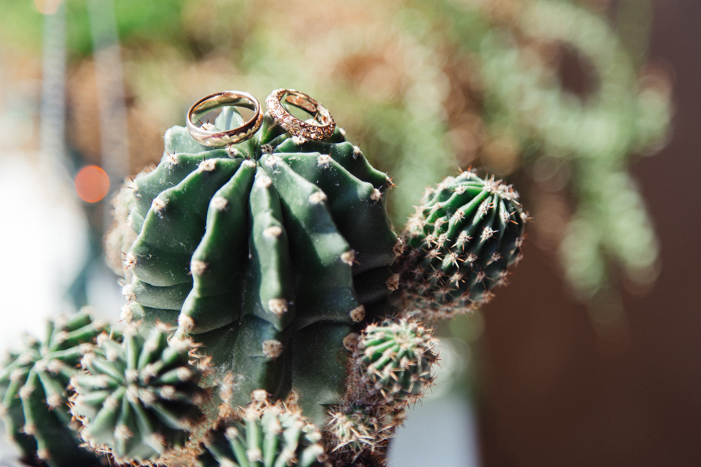 Георгий и Юлиана. Свадебный Семейный Репортажный фотограф в Москве