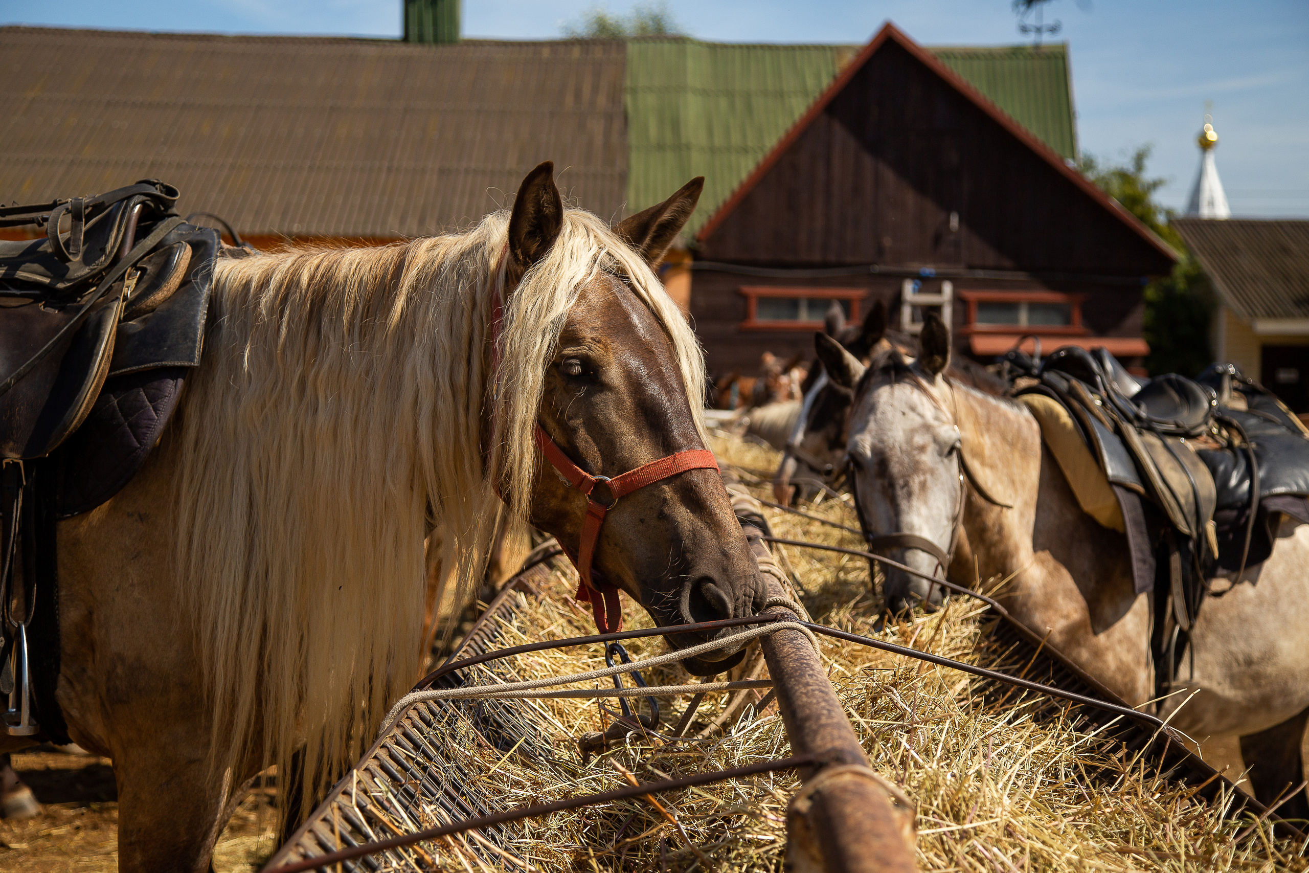В стиле кантри. Свадебный Семейный Репортажный фотограф в Москве