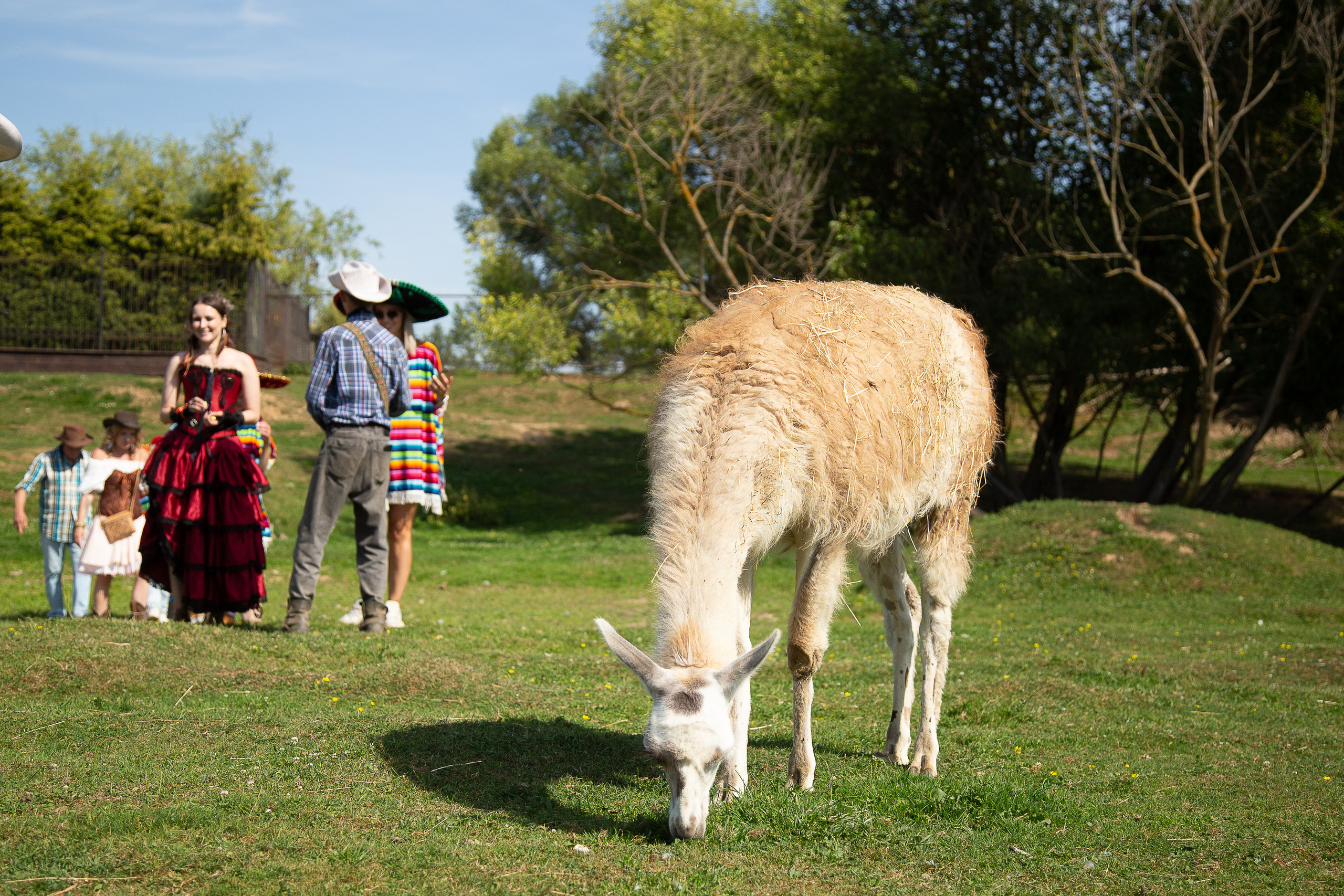 В стиле кантри. Свадебный Семейный Репортажный фотограф в Москве