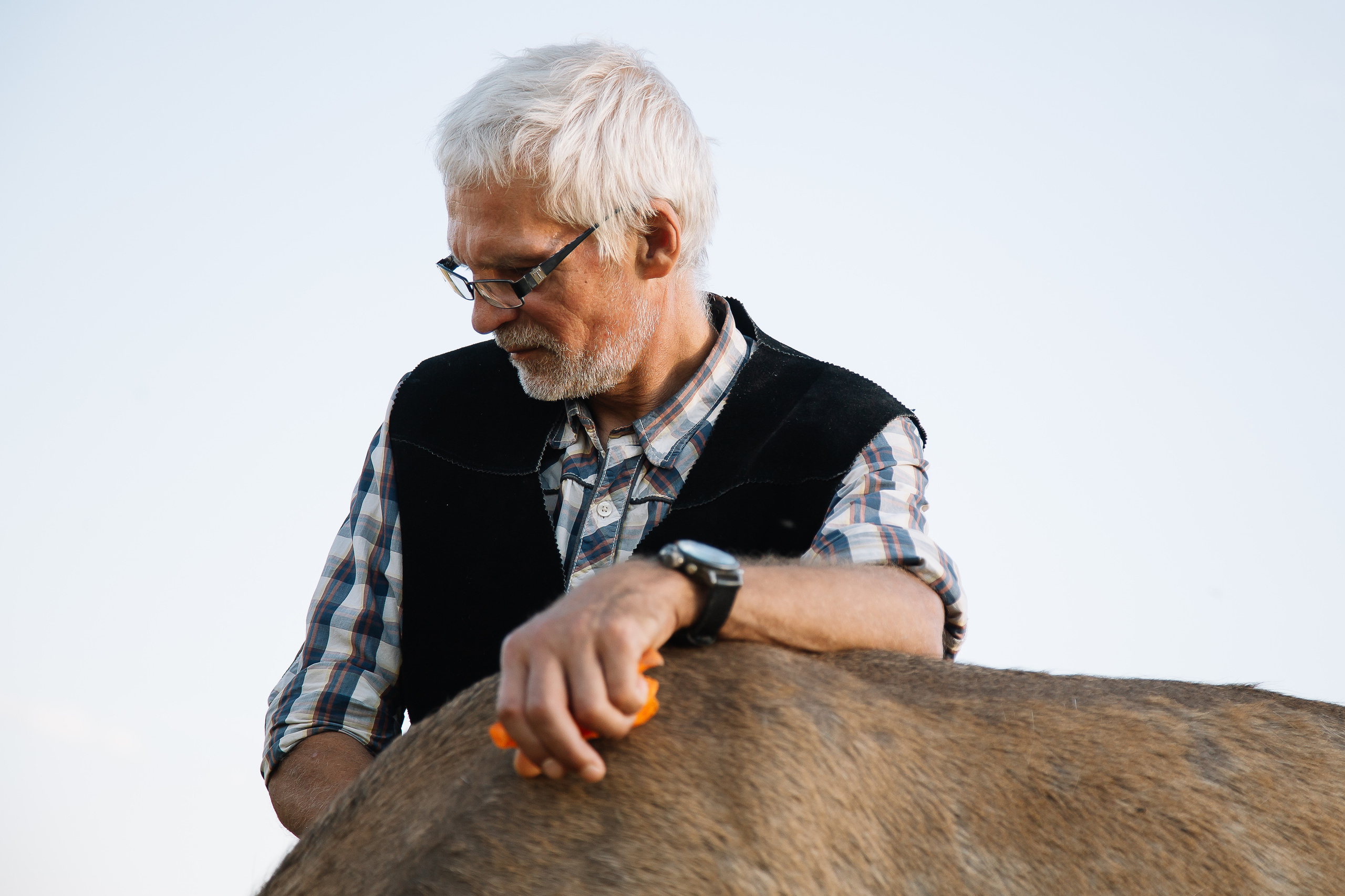 В стиле кантри. Свадебный Семейный Репортажный фотограф в Москве