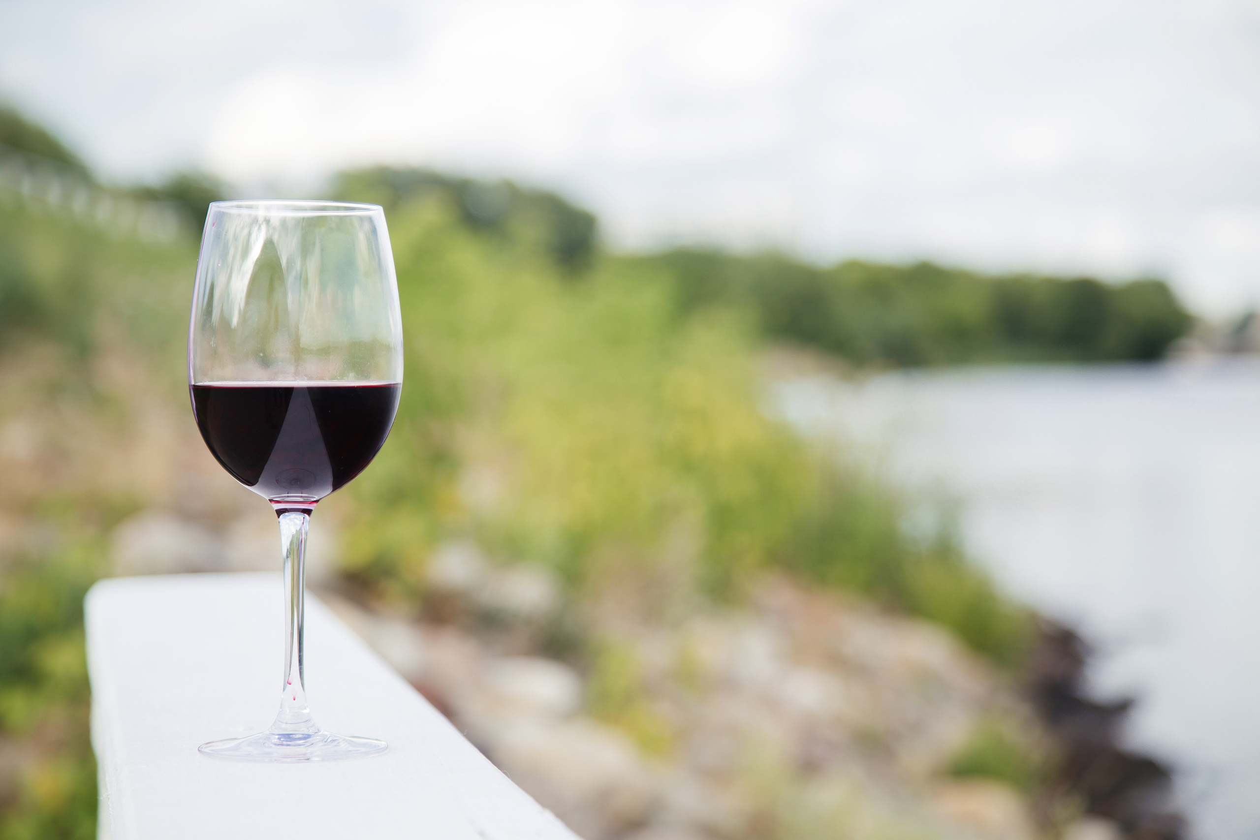 Дмитрий и Яна. Свадебный Семейный Репортажный фотограф в Москве