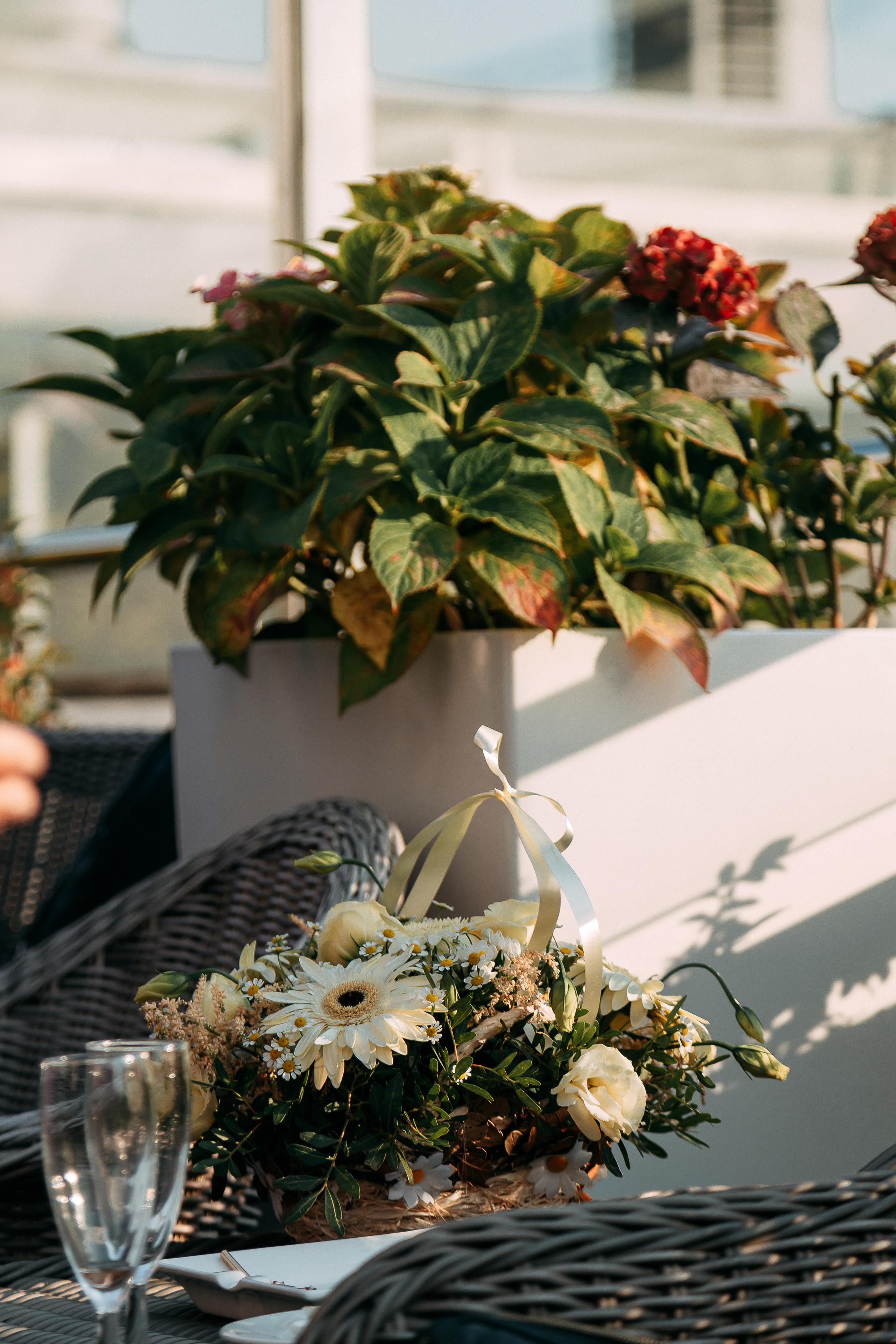 В ботаническом саду. Свадебный Семейный Репортажный фотограф в Москве