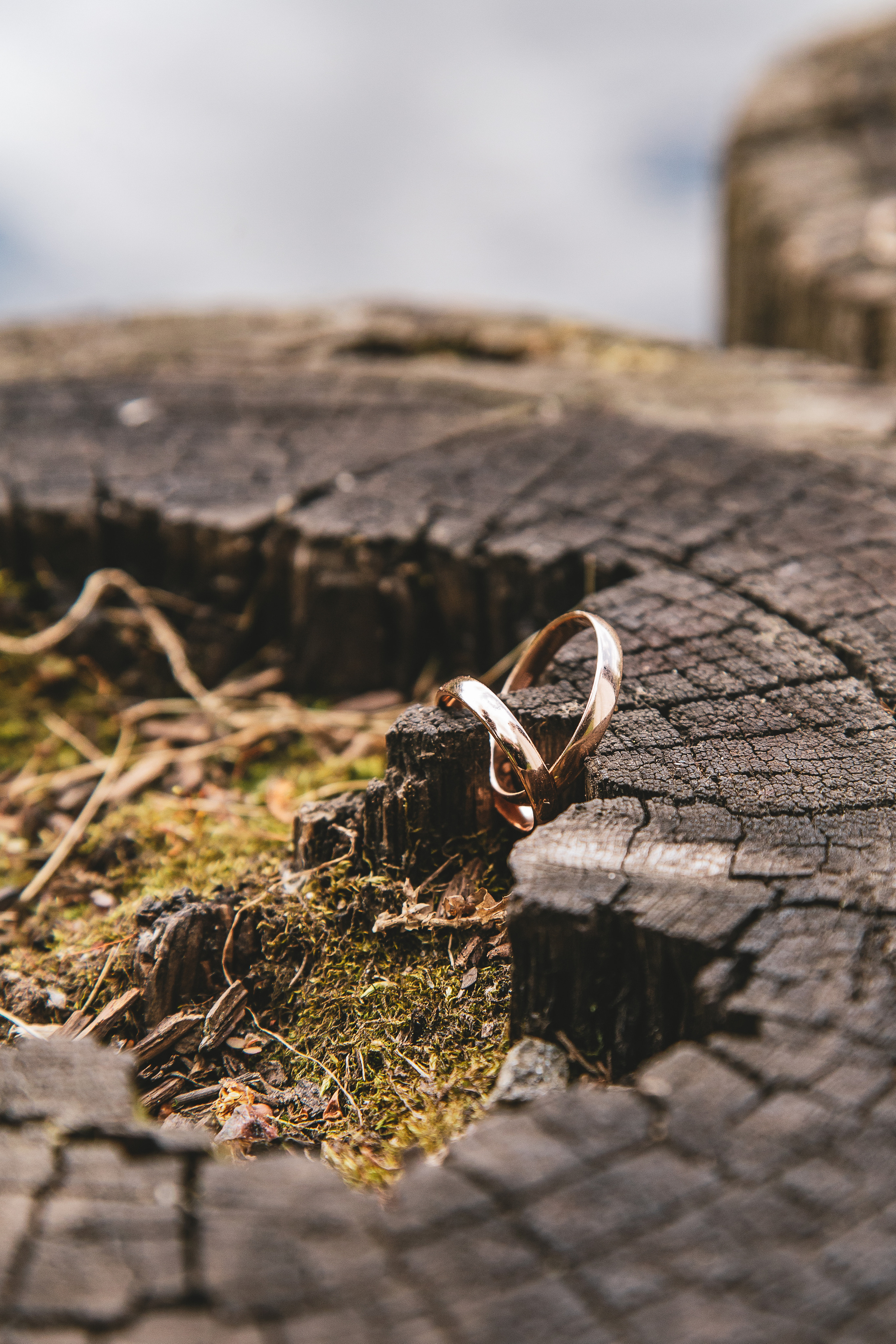 Иван и Кристина. Свадебный Семейный Репортажный фотограф в Москве