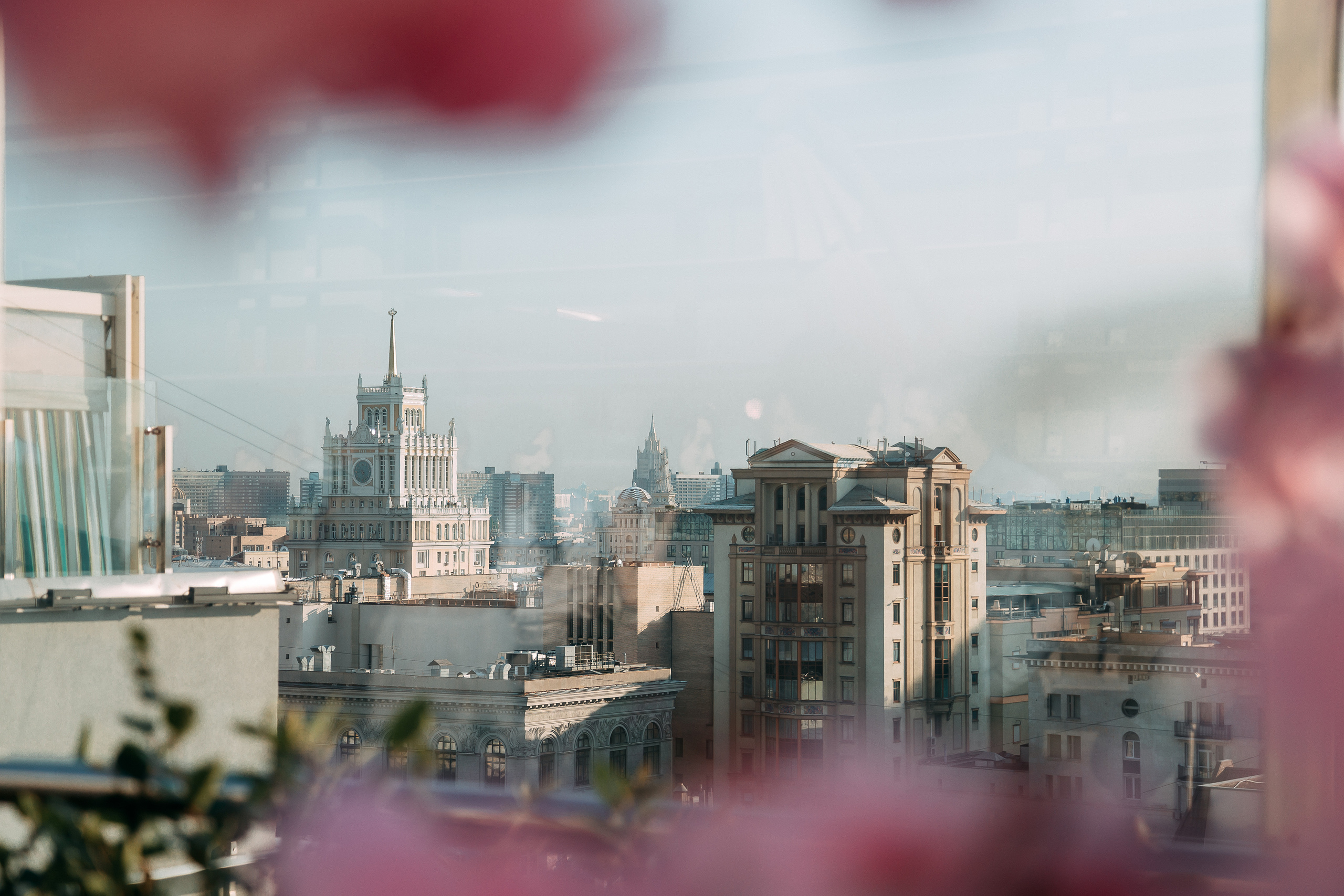 В ботаническом саду. Свадебный Семейный Репортажный фотограф в Москве