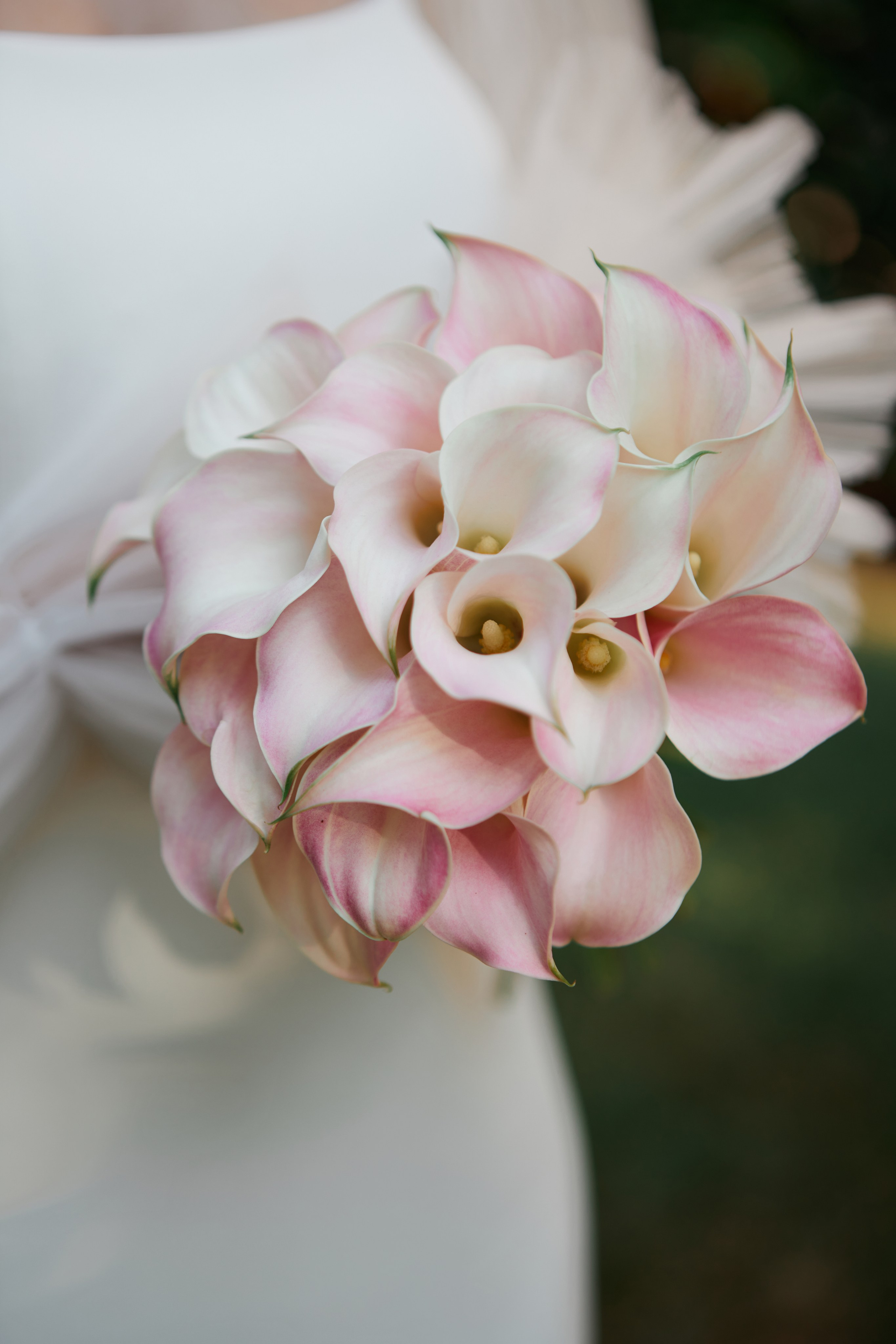 Wedding David & Lisa. Свадебный и семейный фотограф в Сочи-Красной поляне Ларионова Анна