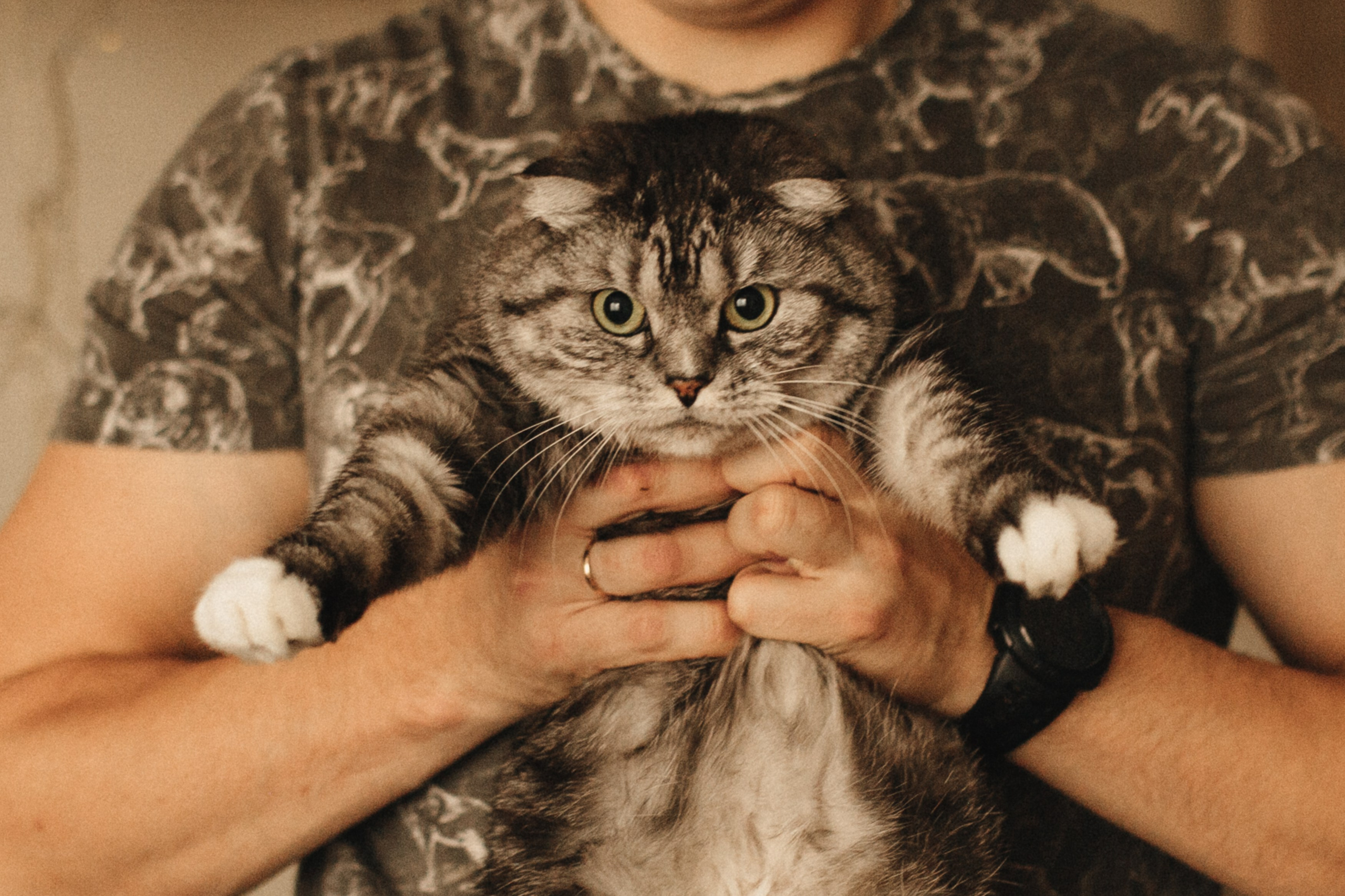 Семейная история. Свадебный и семейный фотограф в Южно-Сахалинске Софья Воропаева