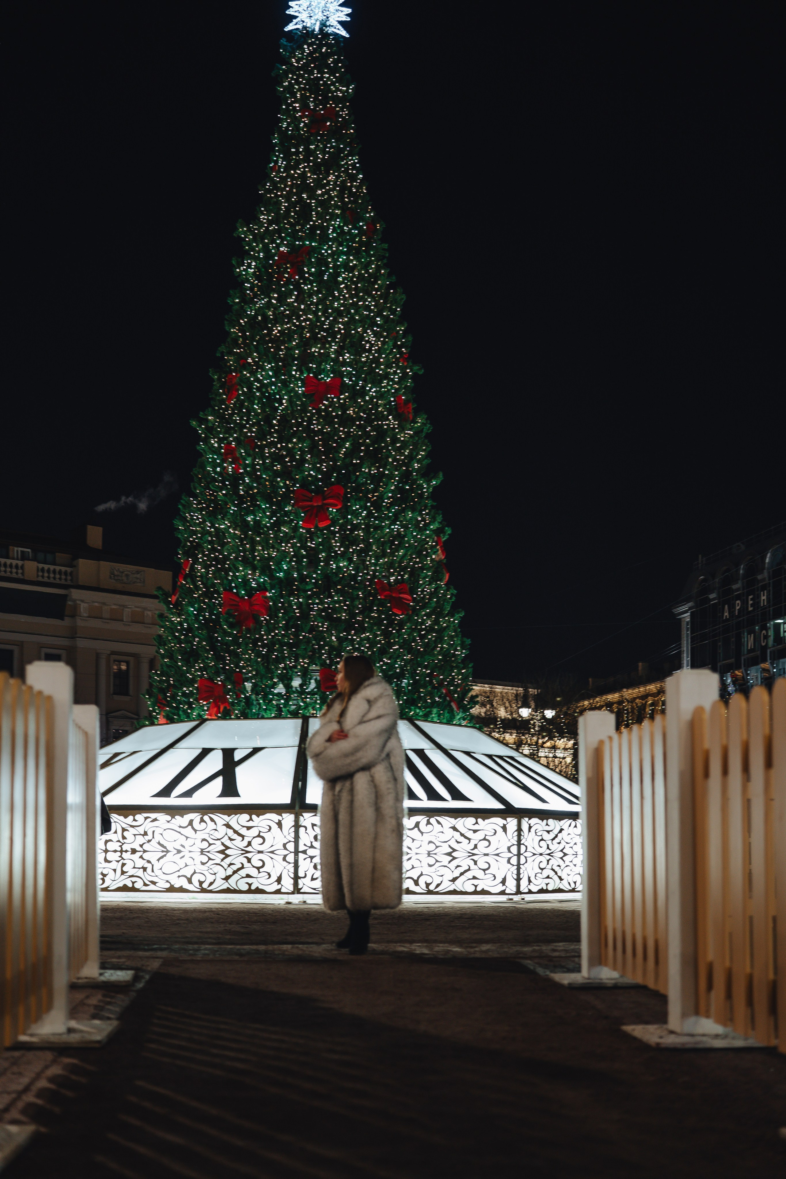 ПРОГУЛКА НА МАНЕЖНОЙ ПЛОЩАДИ ДЛЯ ДЕВУШКИ ПЕРЕД НОВЫМ ГОДОМ (НОВОГОДНЯЯ ФОТОСЕССИИЯ НА МАНЕЖНОЙ ПЛОЩАДИ). Профессиональный фотограф, Санкт-Петербург — Виктория Богомолова