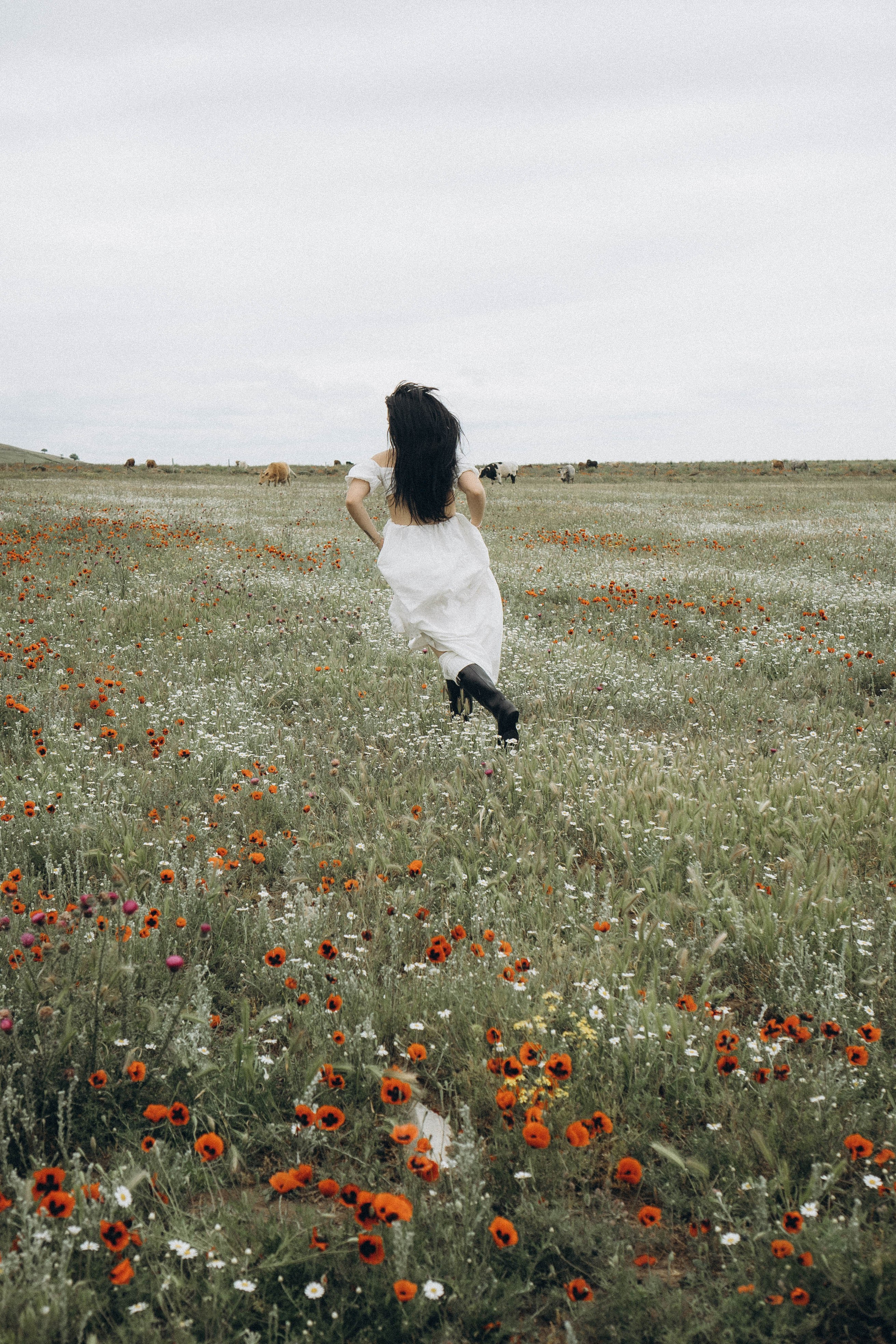 Маковое поле. Профессиональный фотограф, Санкт-Петербург — Виктория Богомолова