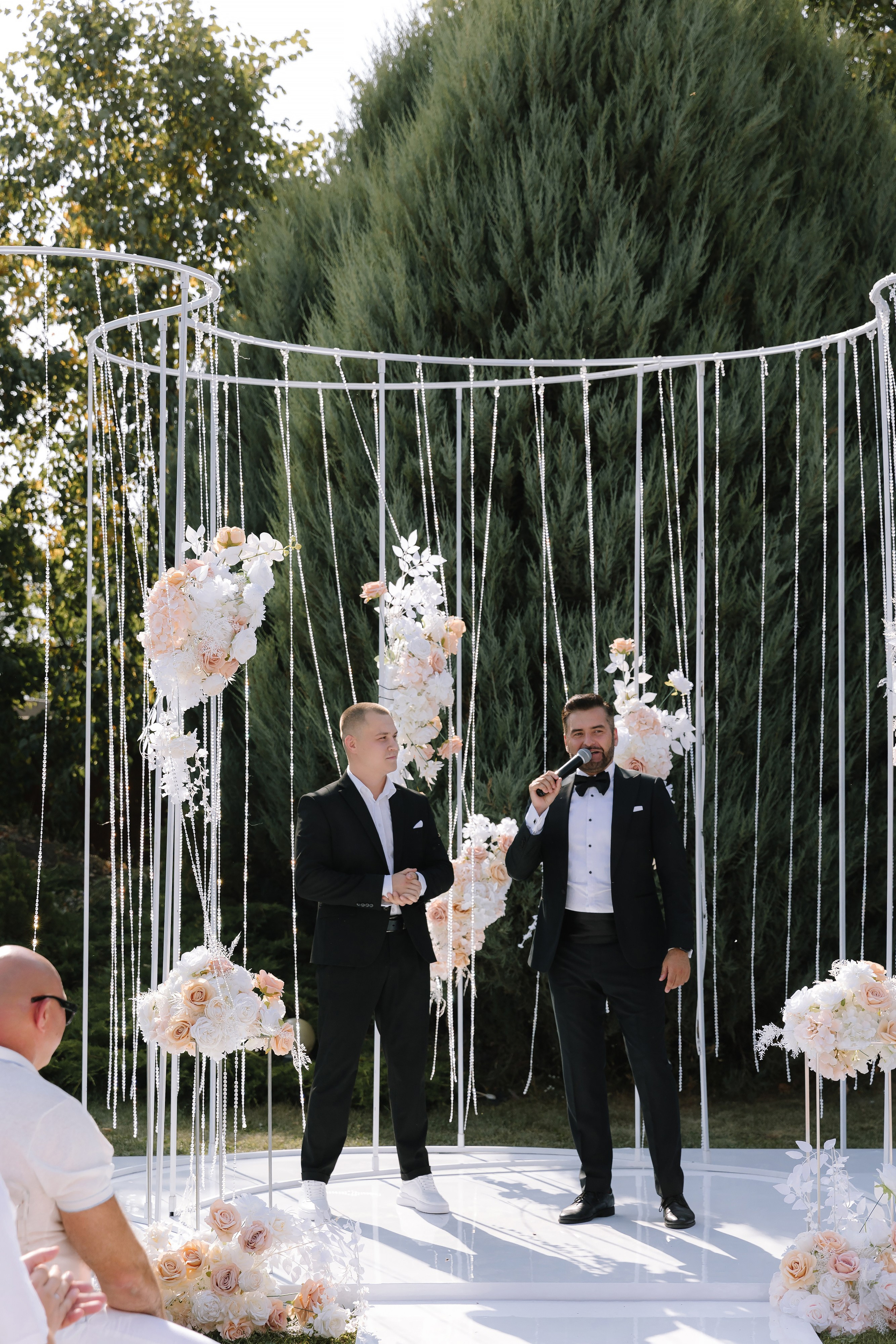 Бабочки. Фотограф Елена Краснопевцева