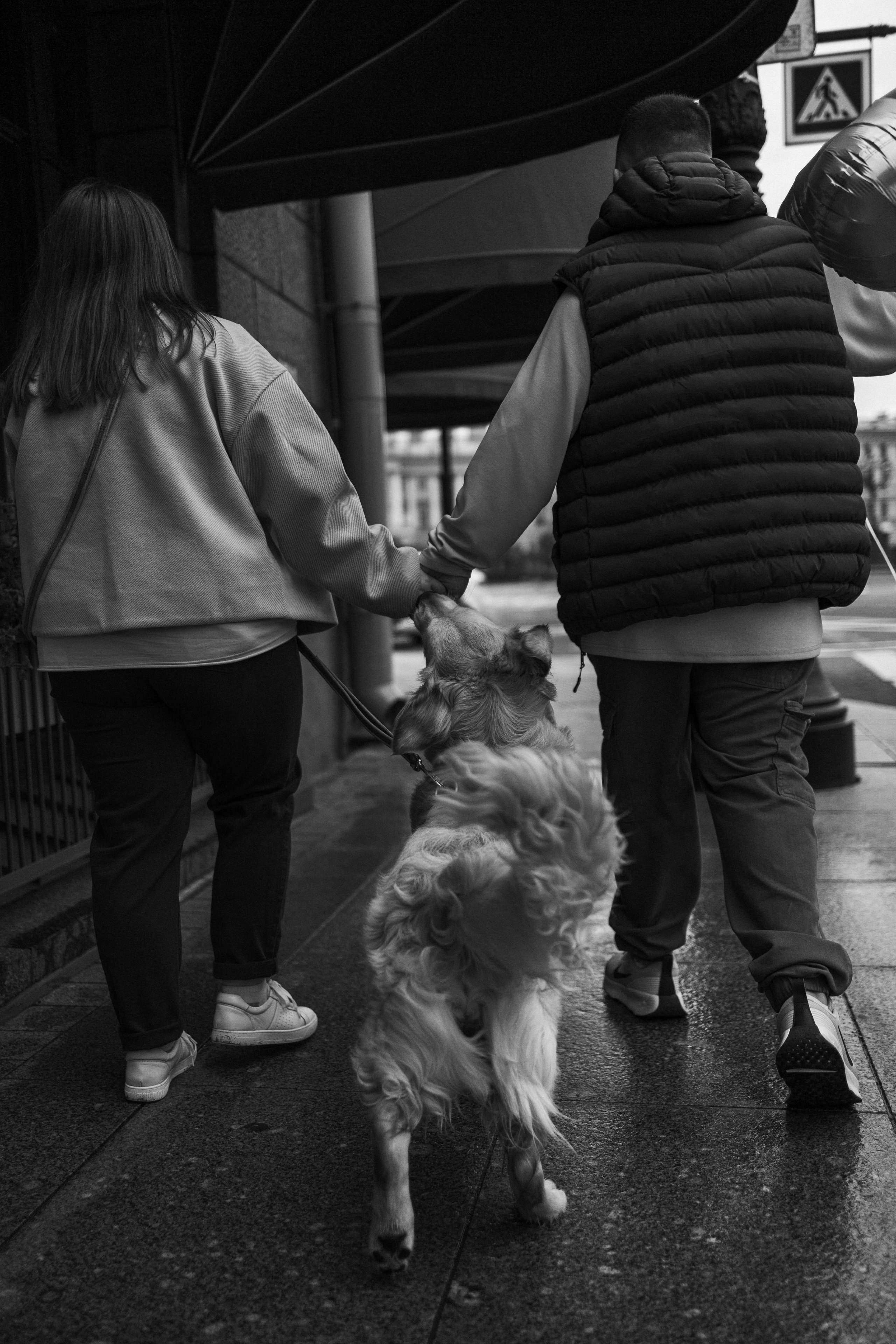 Бетти и ее семья. Фотограф — Анималист | Санкт-Петербург