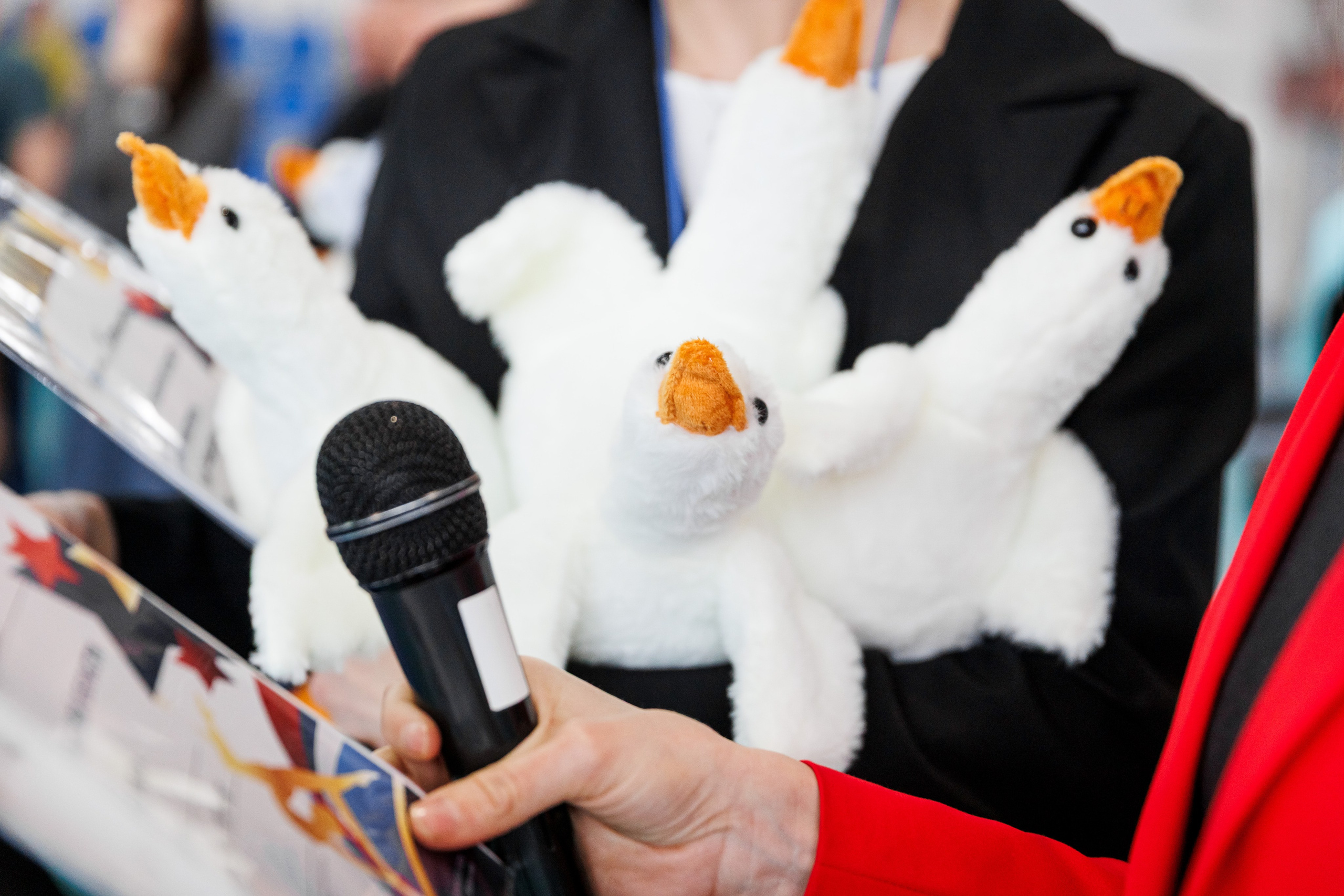 Воздушная гимнастика. Фотограф Шейдаев Эмин г. Волгоград