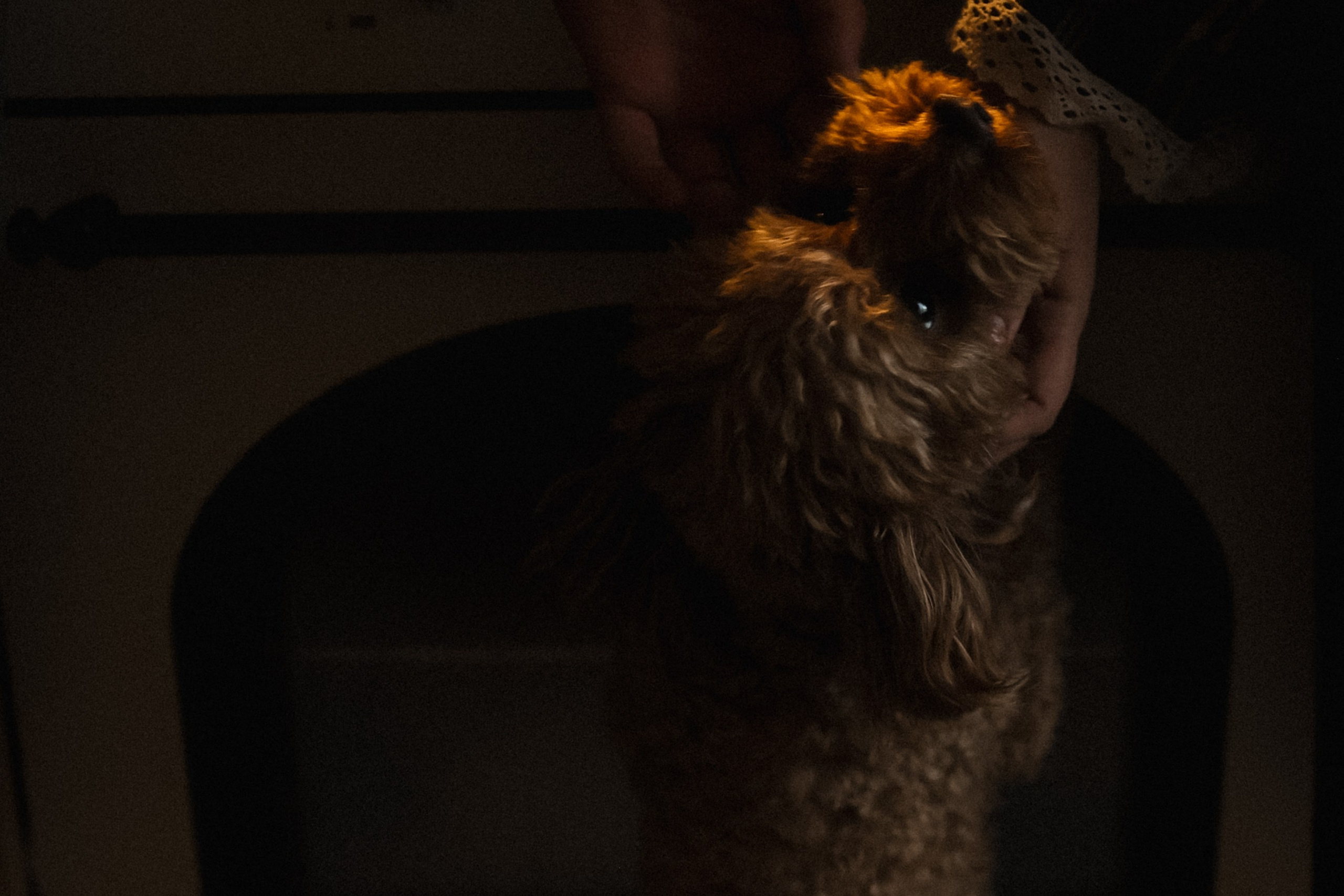 ИЛЮНЬ. Фотограф Донецк. Горловка. ДНР. Севастополь