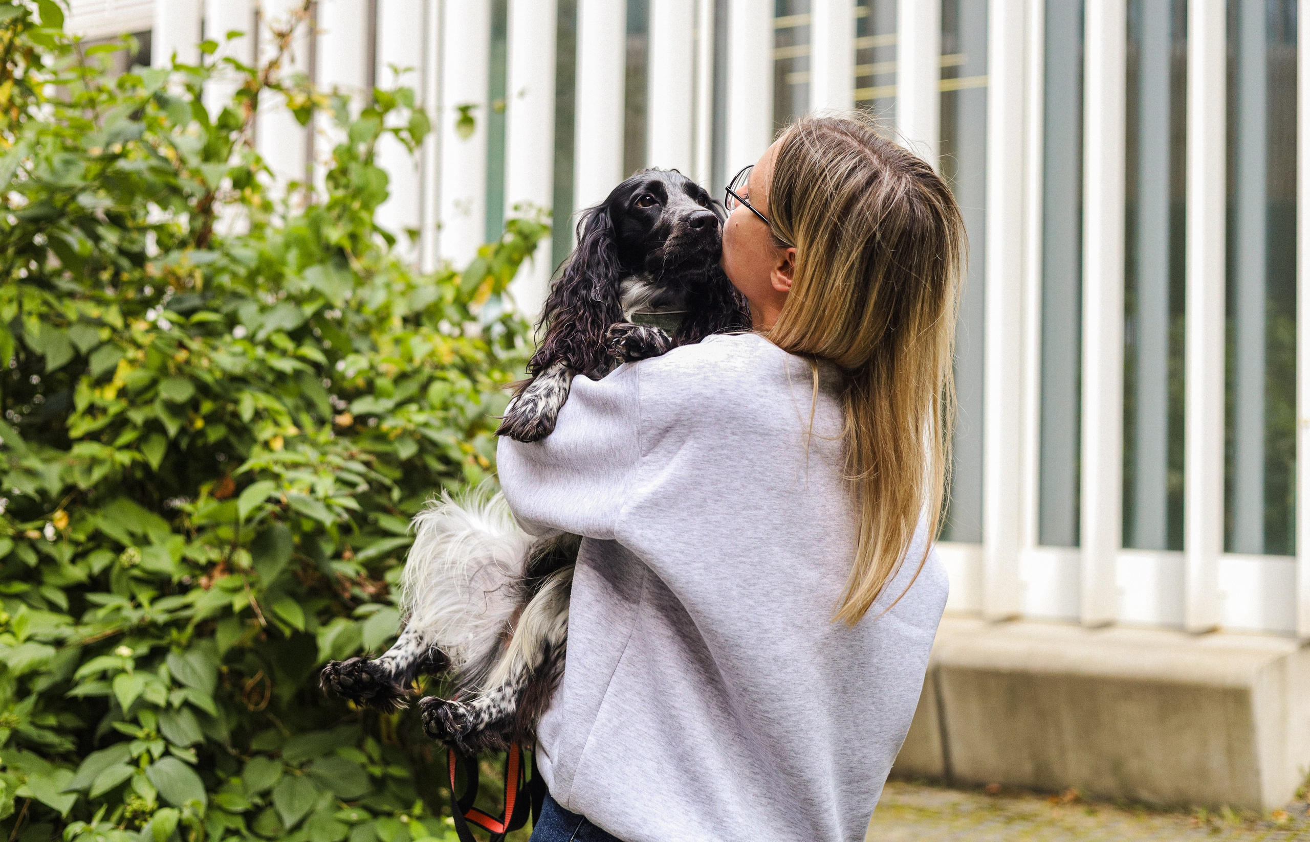 Купер и его семья. Фотограф-анималист Ксения Шевцова|Москва