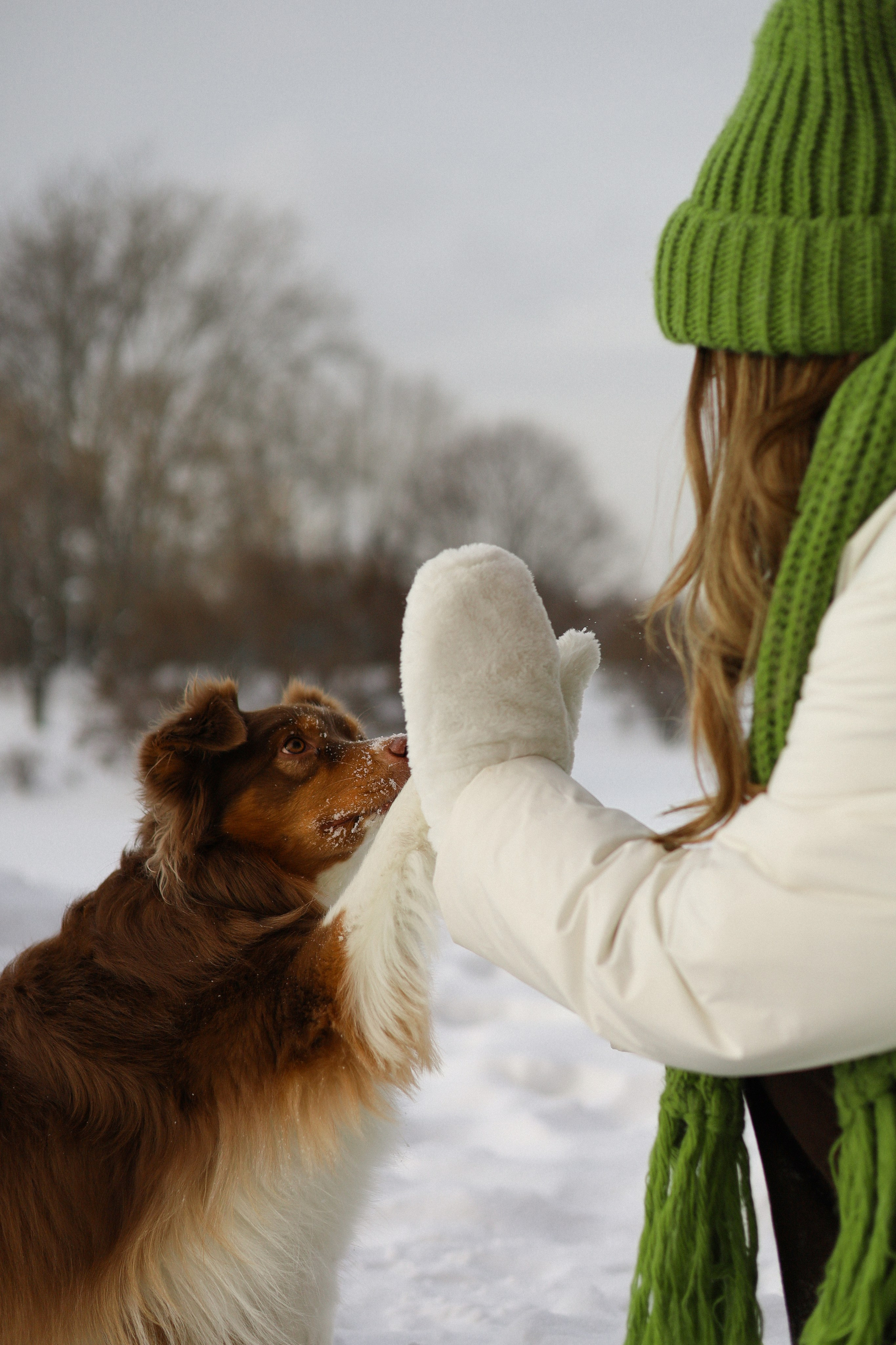 Макалу и Аня. Фотограф-анималист Ксения Шевцова|Москва