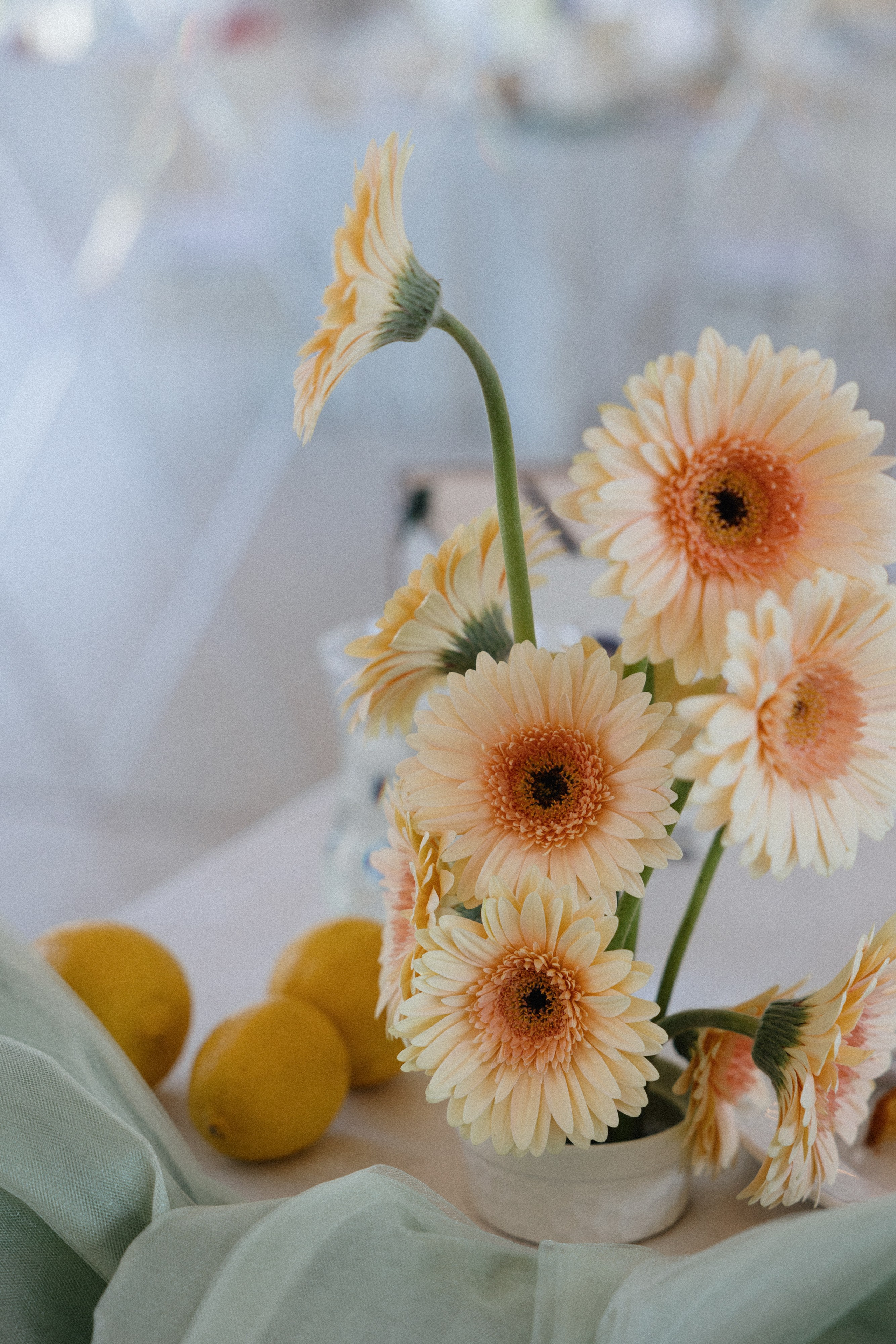 A&P. Свадебный фотограф в Санкт-Петербурге