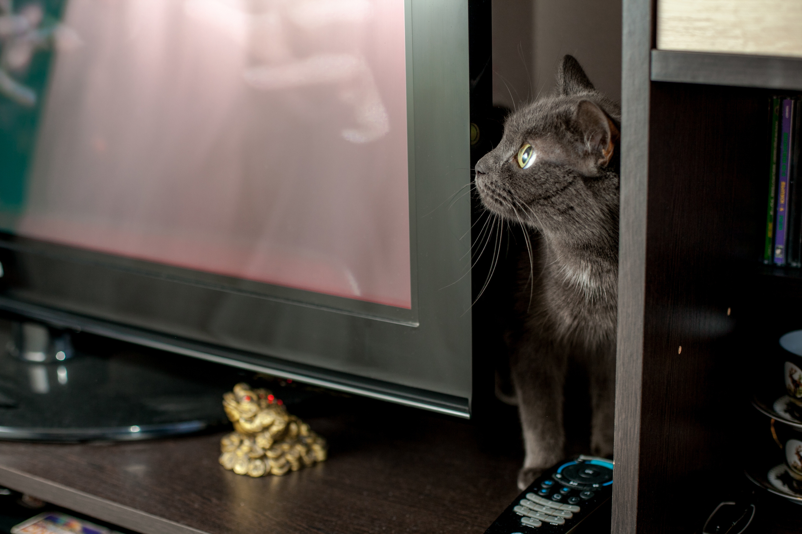 Роман и Юлия. Свадебный фотограф в Краснодаре Михаил Бобрышов