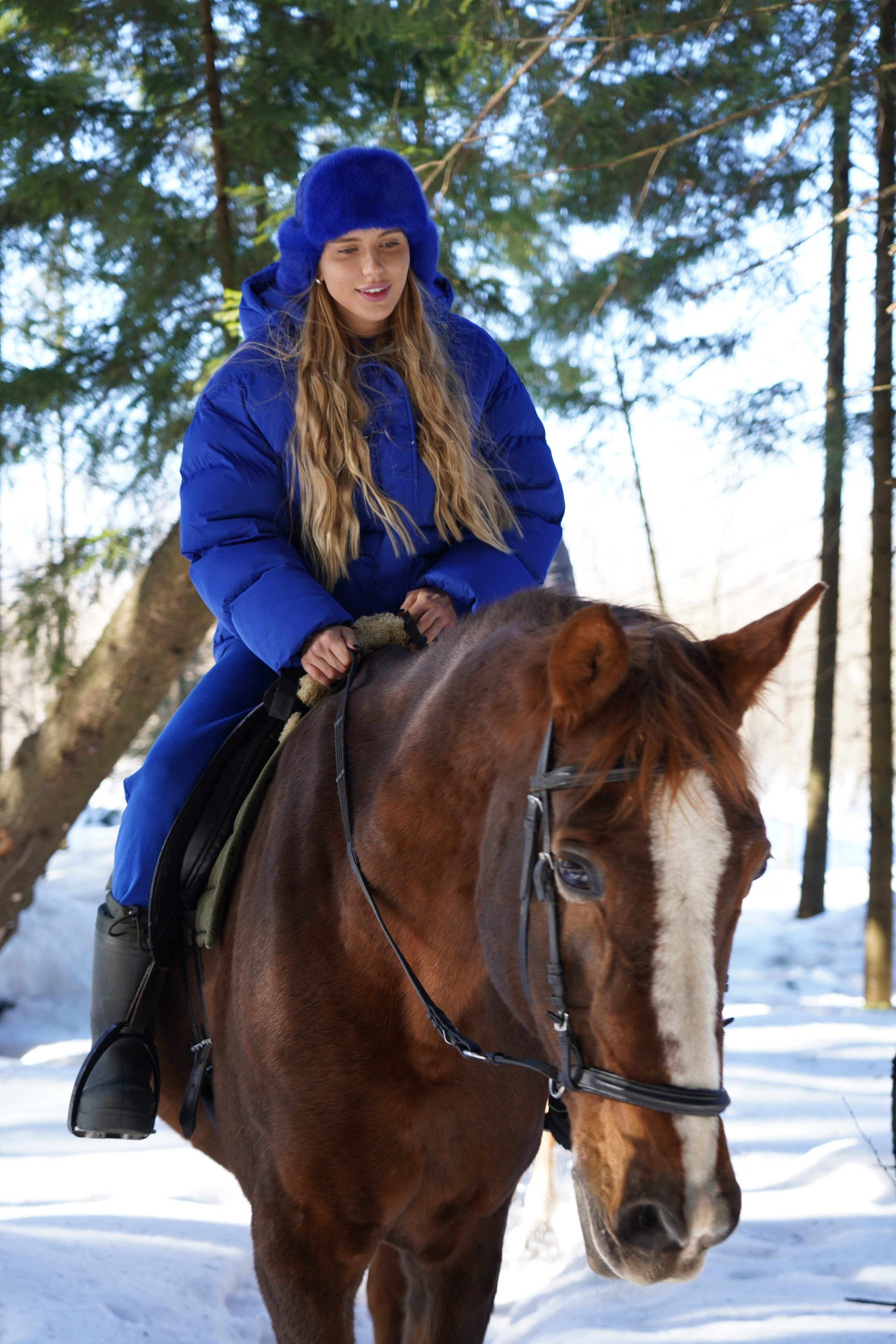 Фотосессия с лошадьми. Главная