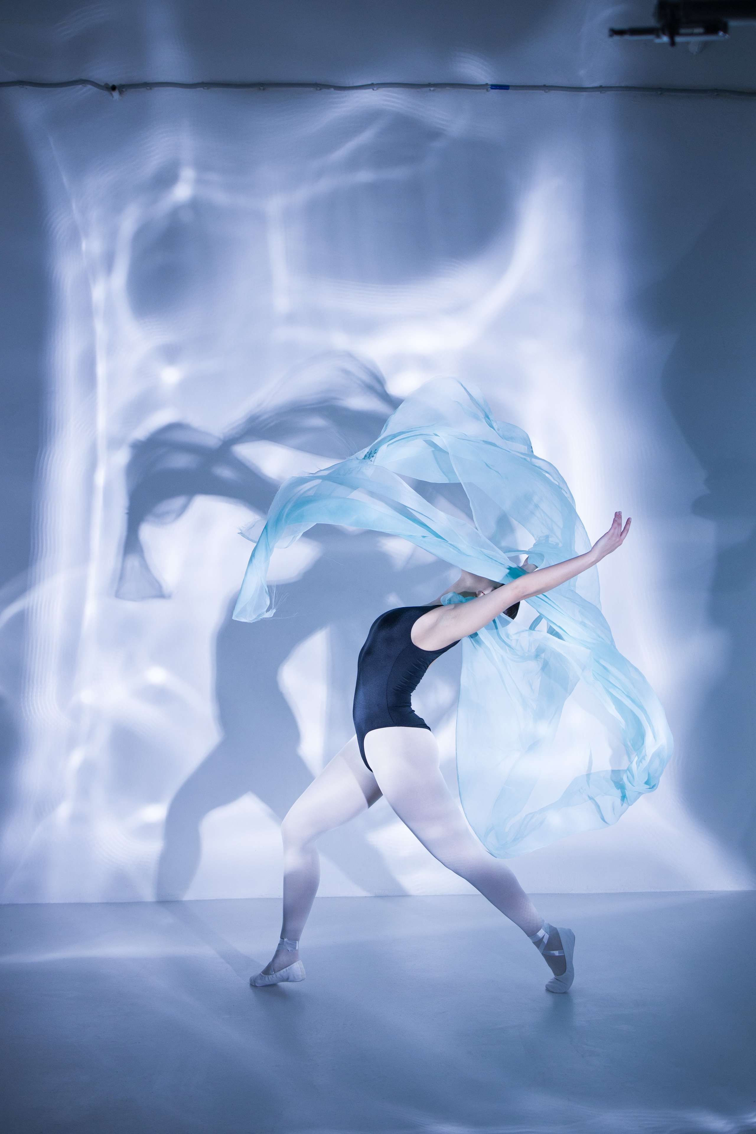 Лилия. Художественная фотография