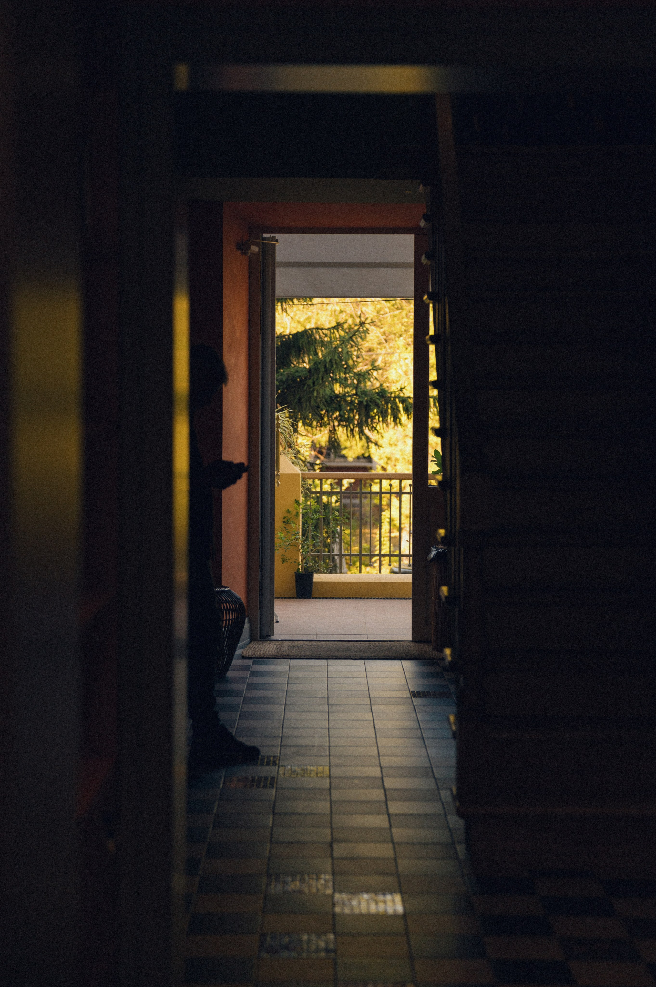 Данил и Оля. Свадебный фотограф и видеограф