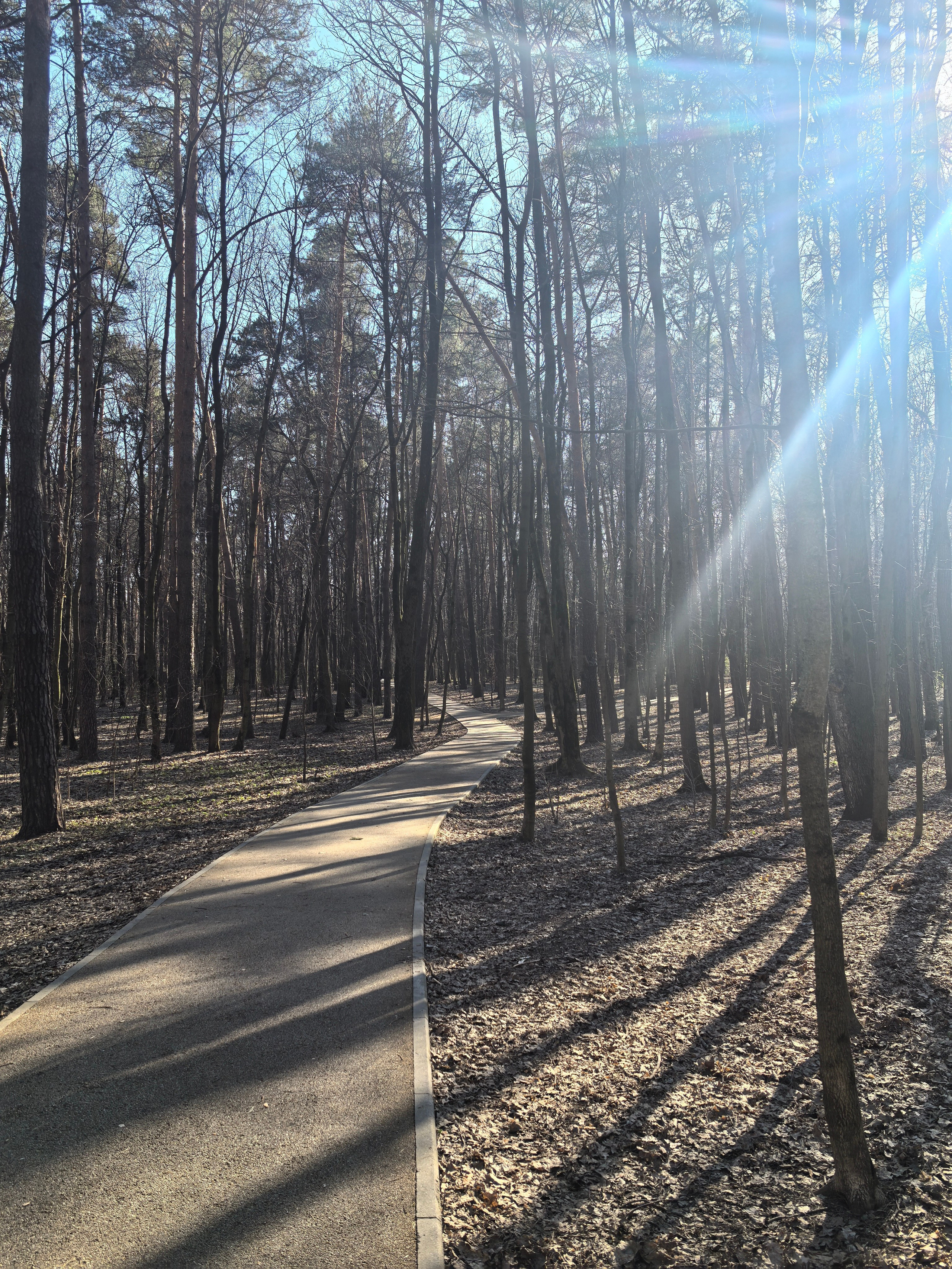 Покровско-Стрешнево. Школьные выпускные альбомы в Москве Марина Николаева