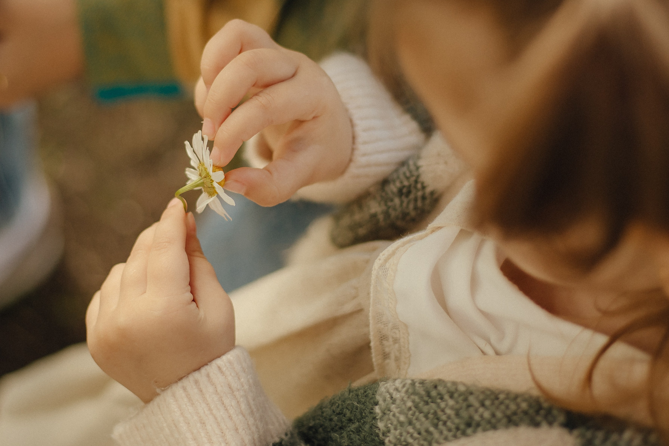 Наталья, Дима и Варюша. Семейный фотограф в Москве и Московской области Лазутина Валентина