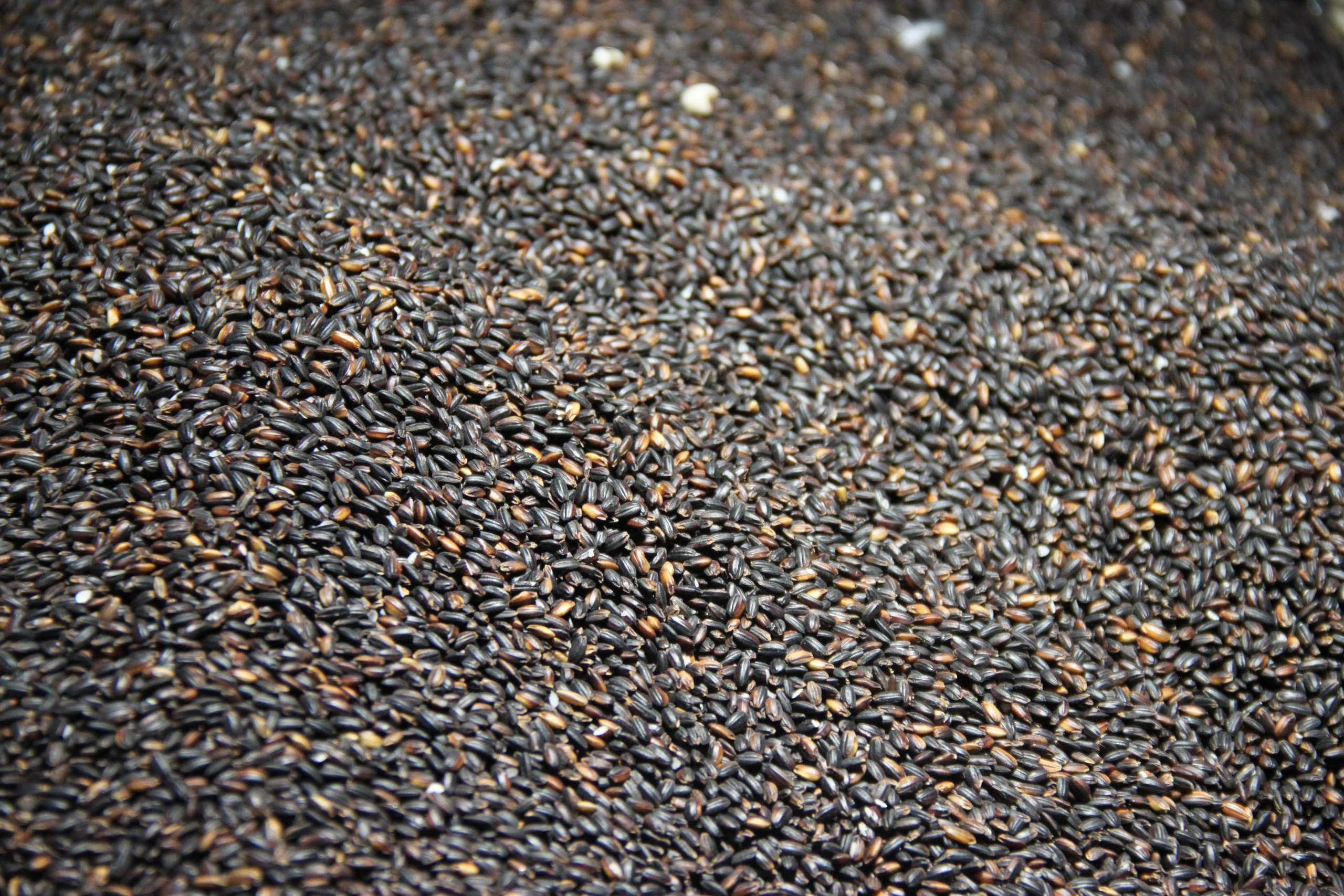 Shanghai, China. Andrey Filippov Photographer