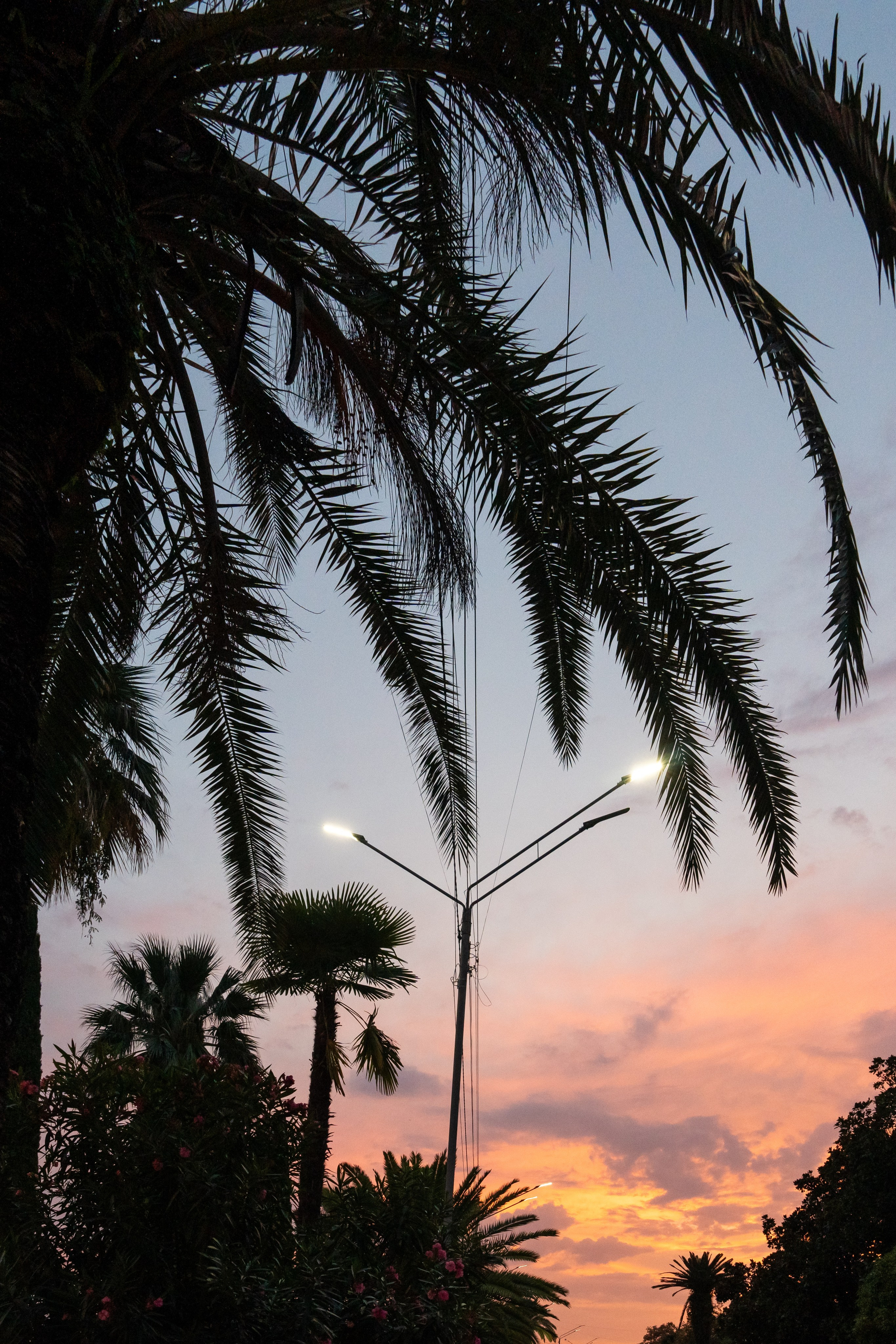 Mice мероприятие — тур по Абхазии. Репортажный фотограф в Красной Поляне и Сочи Павлюченко Екатерина