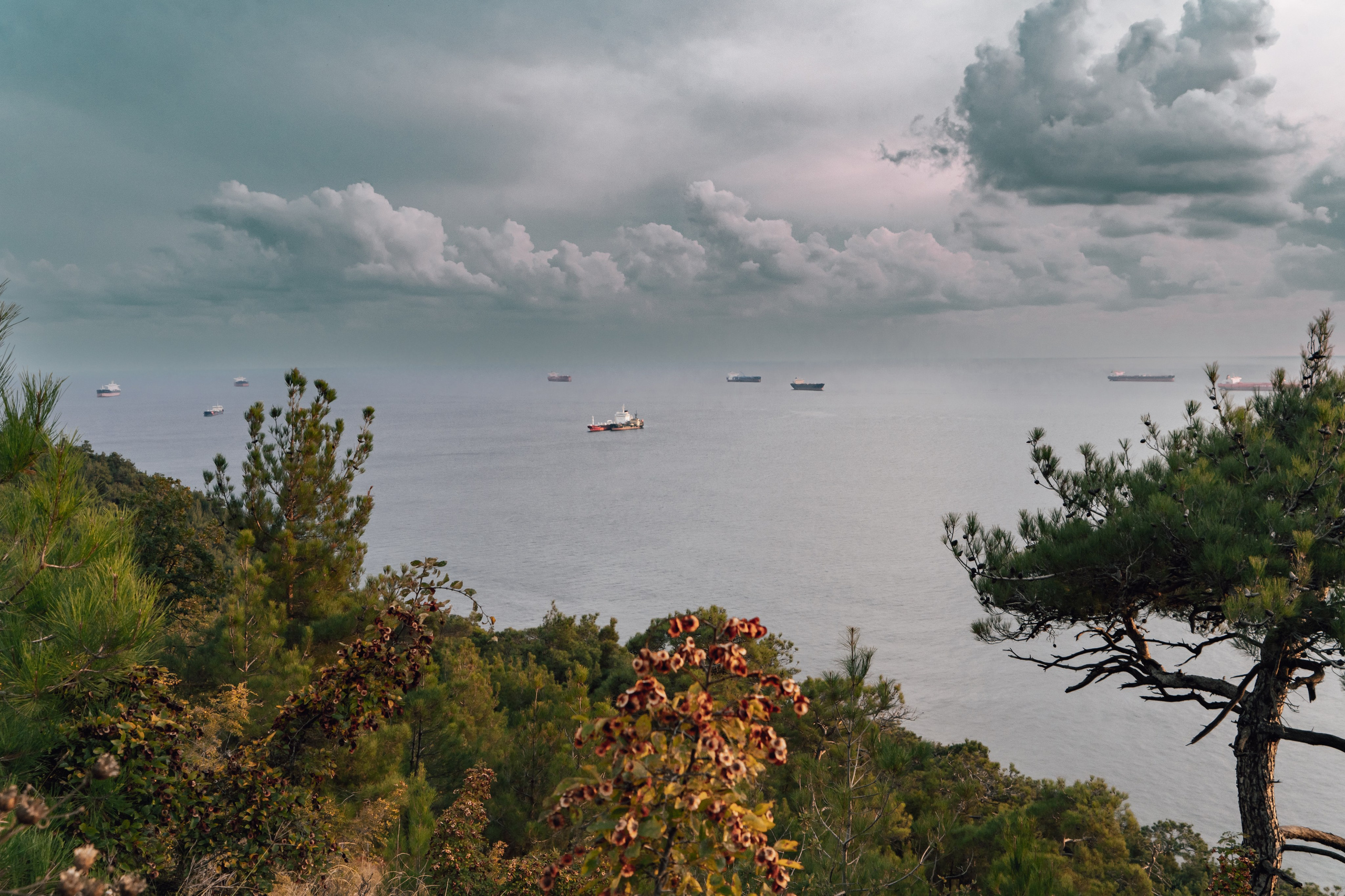 Путешествия и пейзаж. Репортажный фотограф в Красной Поляне и Сочи Павлюченко Екатерина