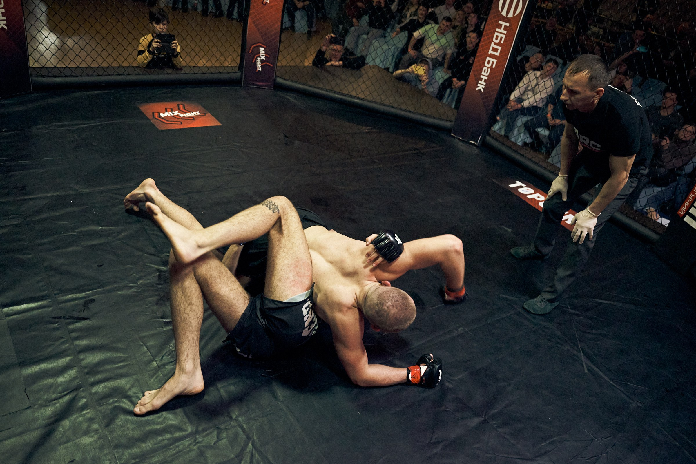 Бои. Маляревич Дмитрий свадебный фотограф