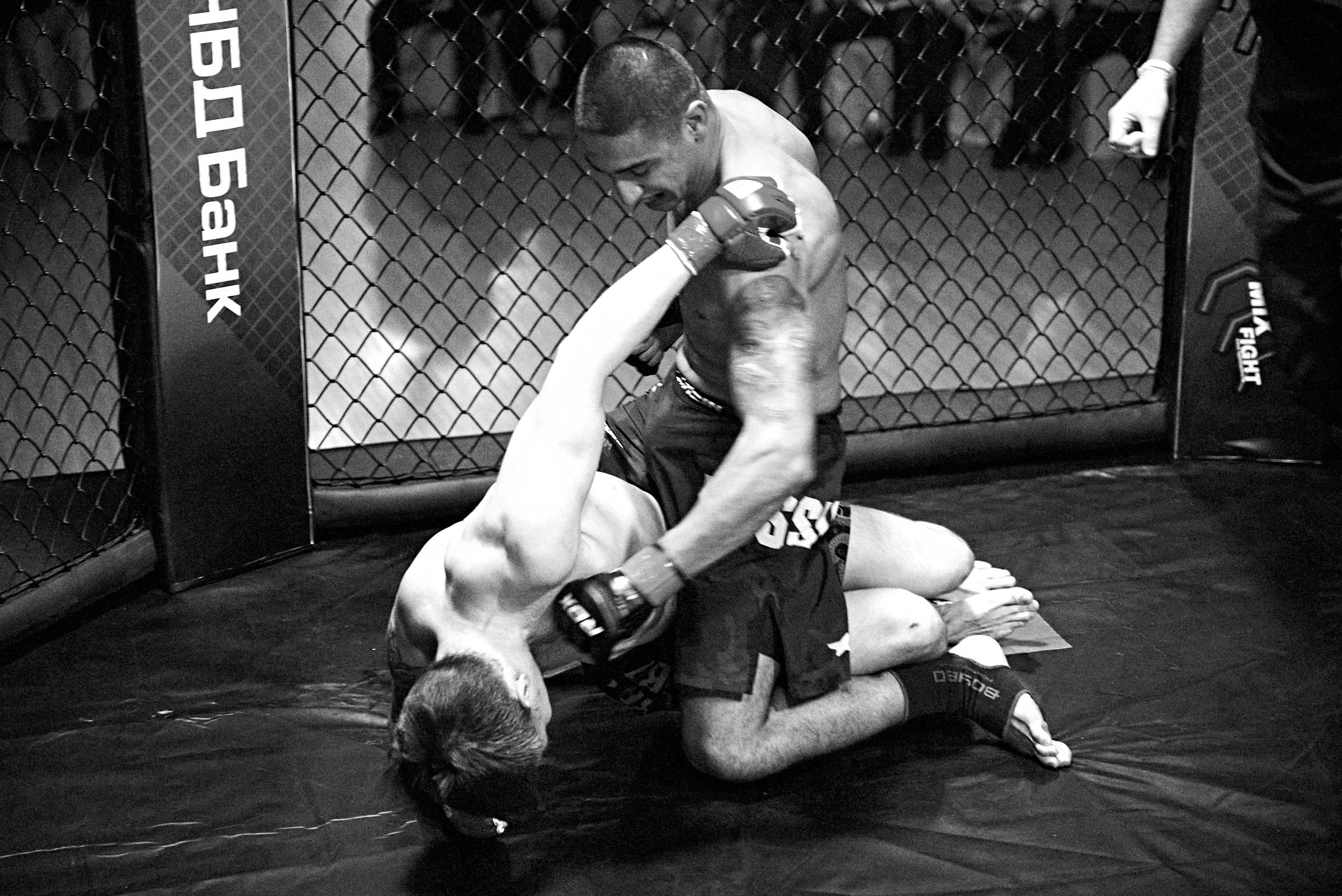 Бои. Маляревич Дмитрий свадебный фотограф