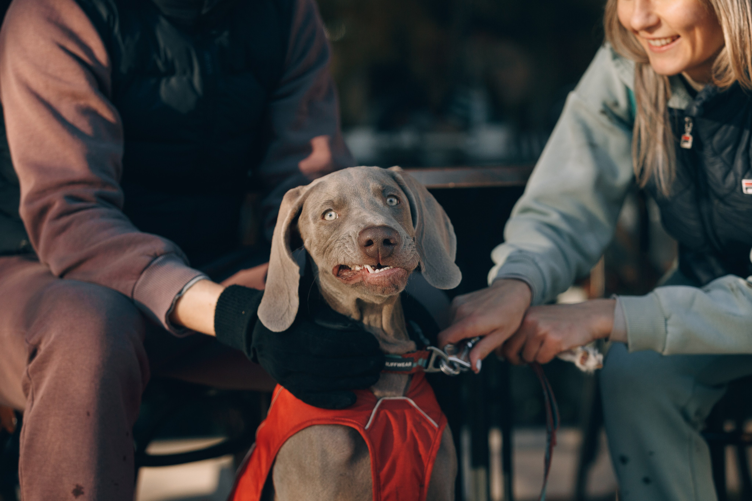Оля, Саша и Бастиан. Фотограф анималист Кристина Карпова, Москва